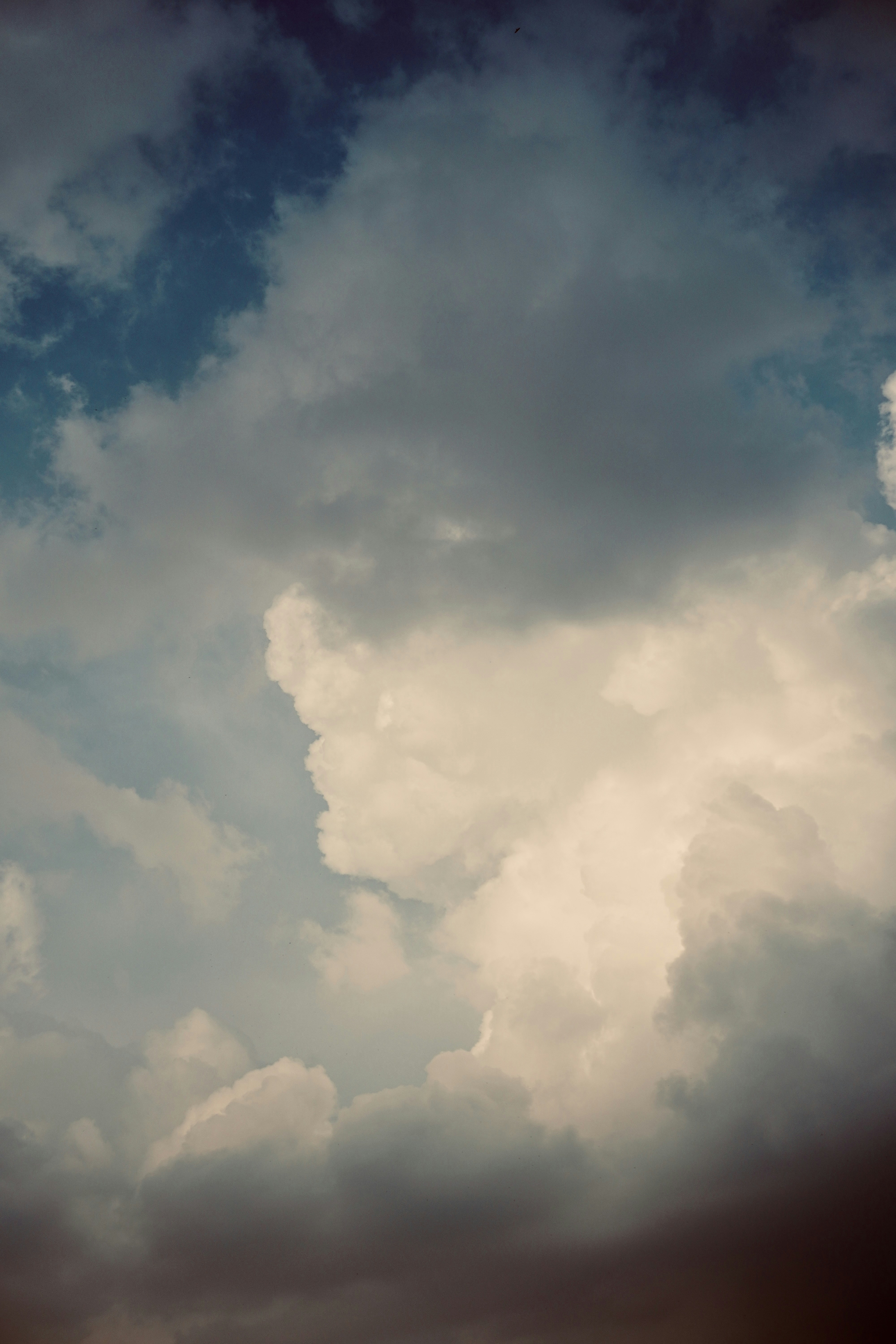 Photo by justjoker44