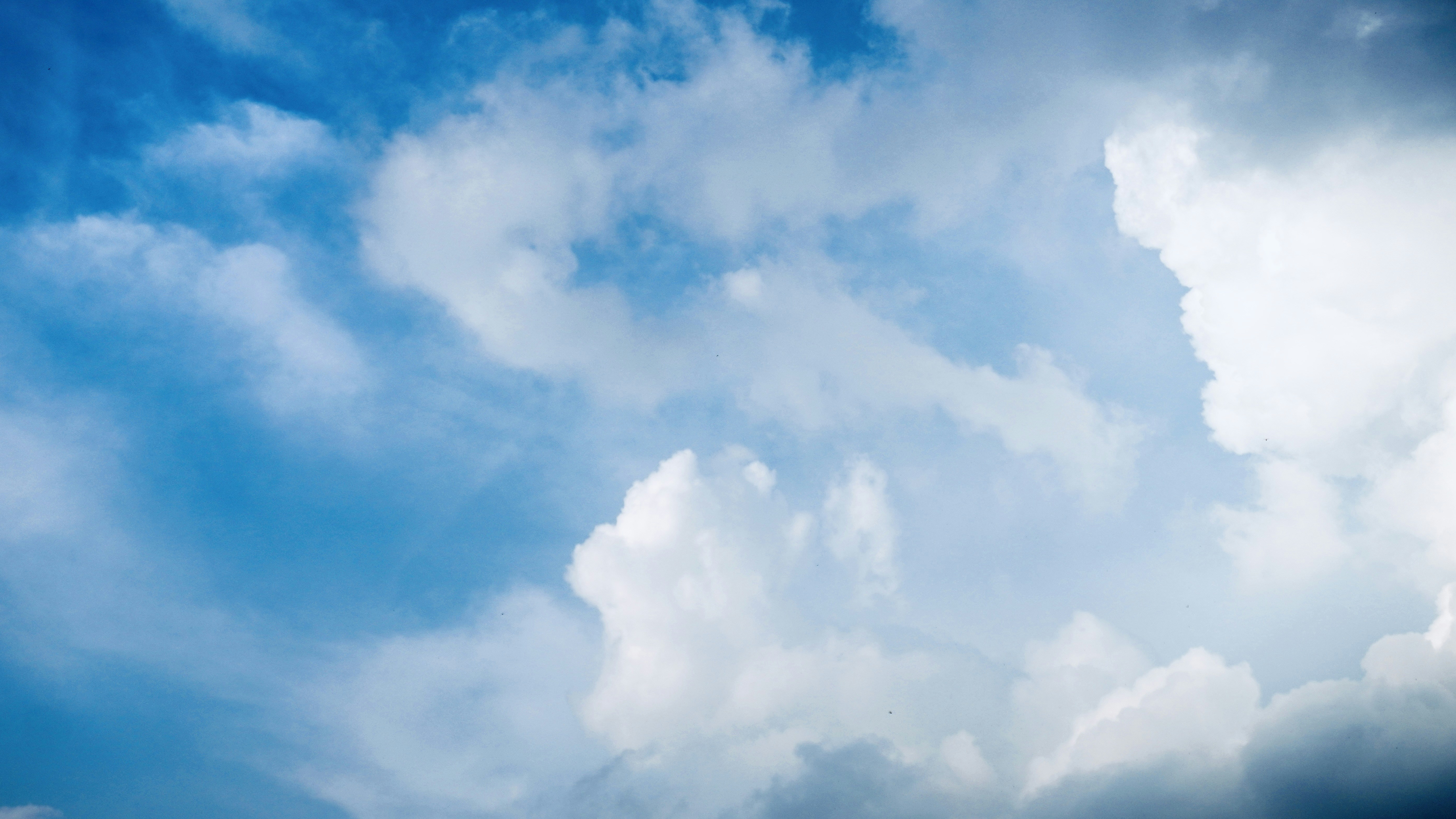 Photo by justjoker44