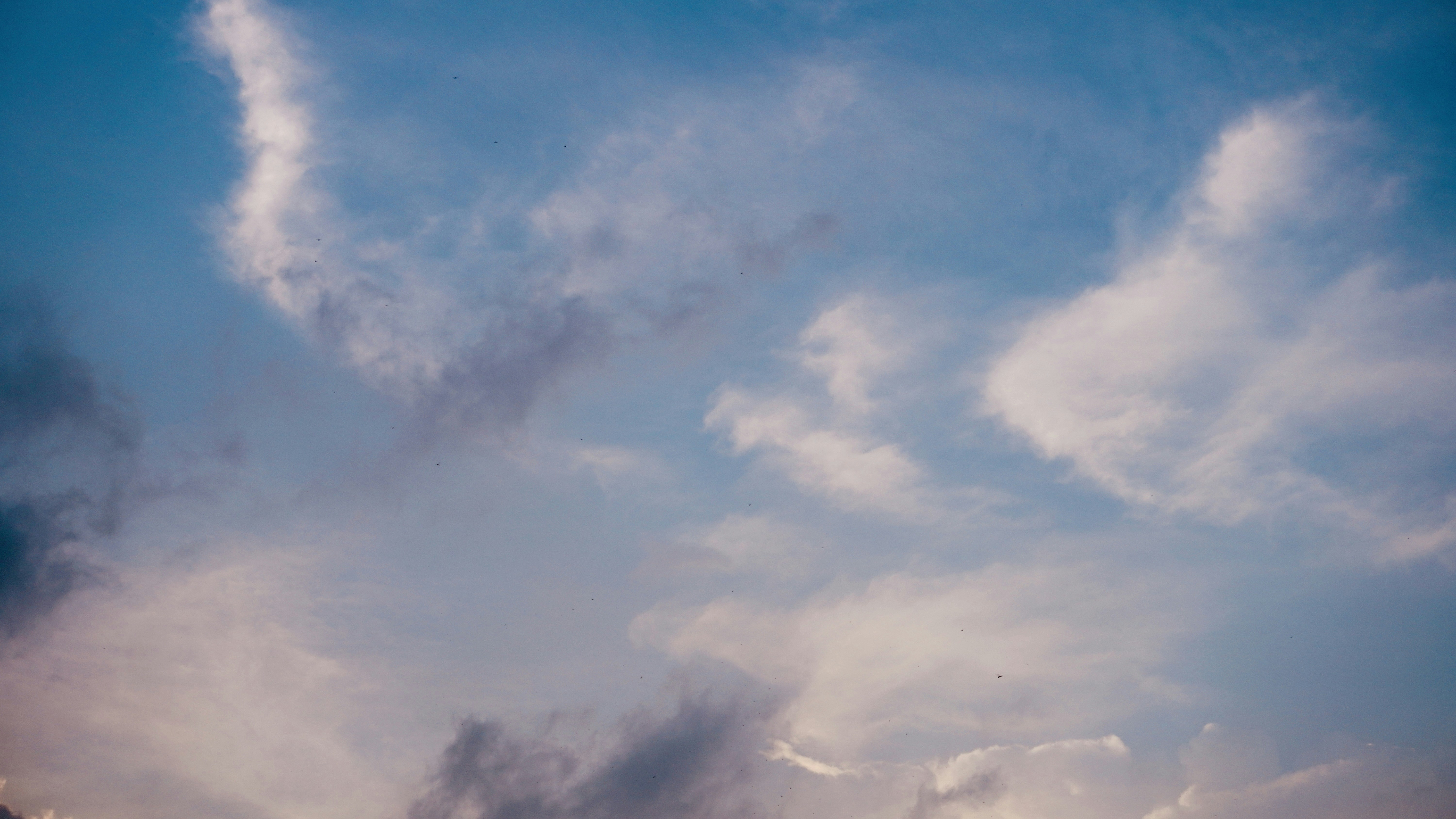 Photo by justjoker44