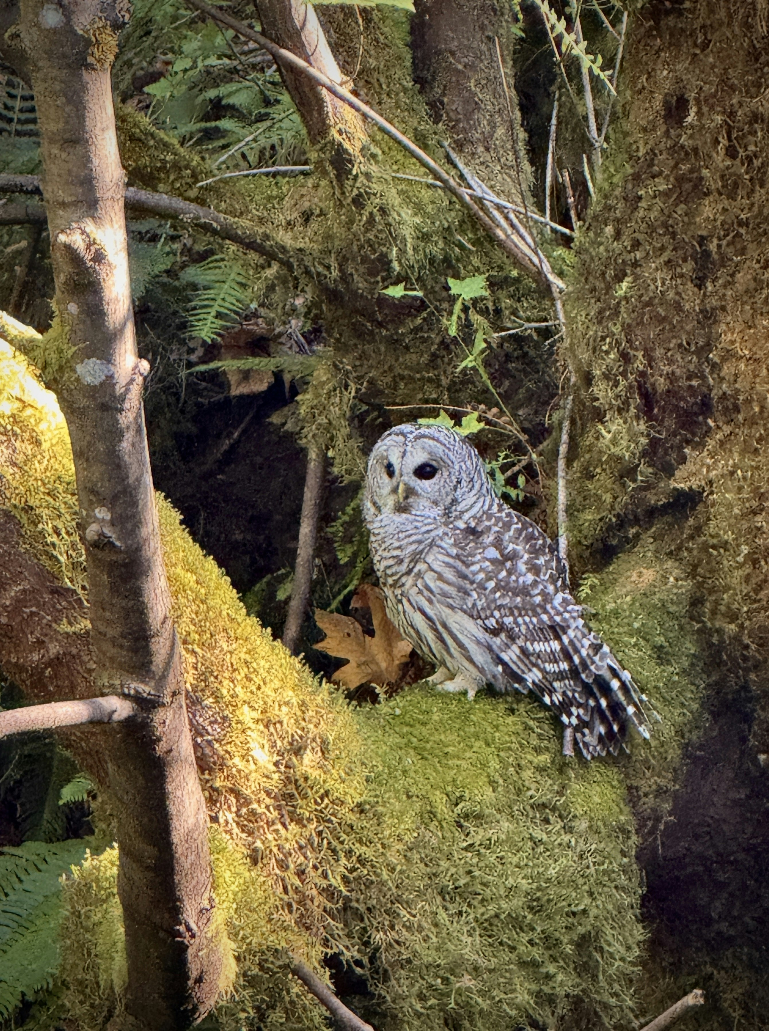 Photo by sailorgreg123