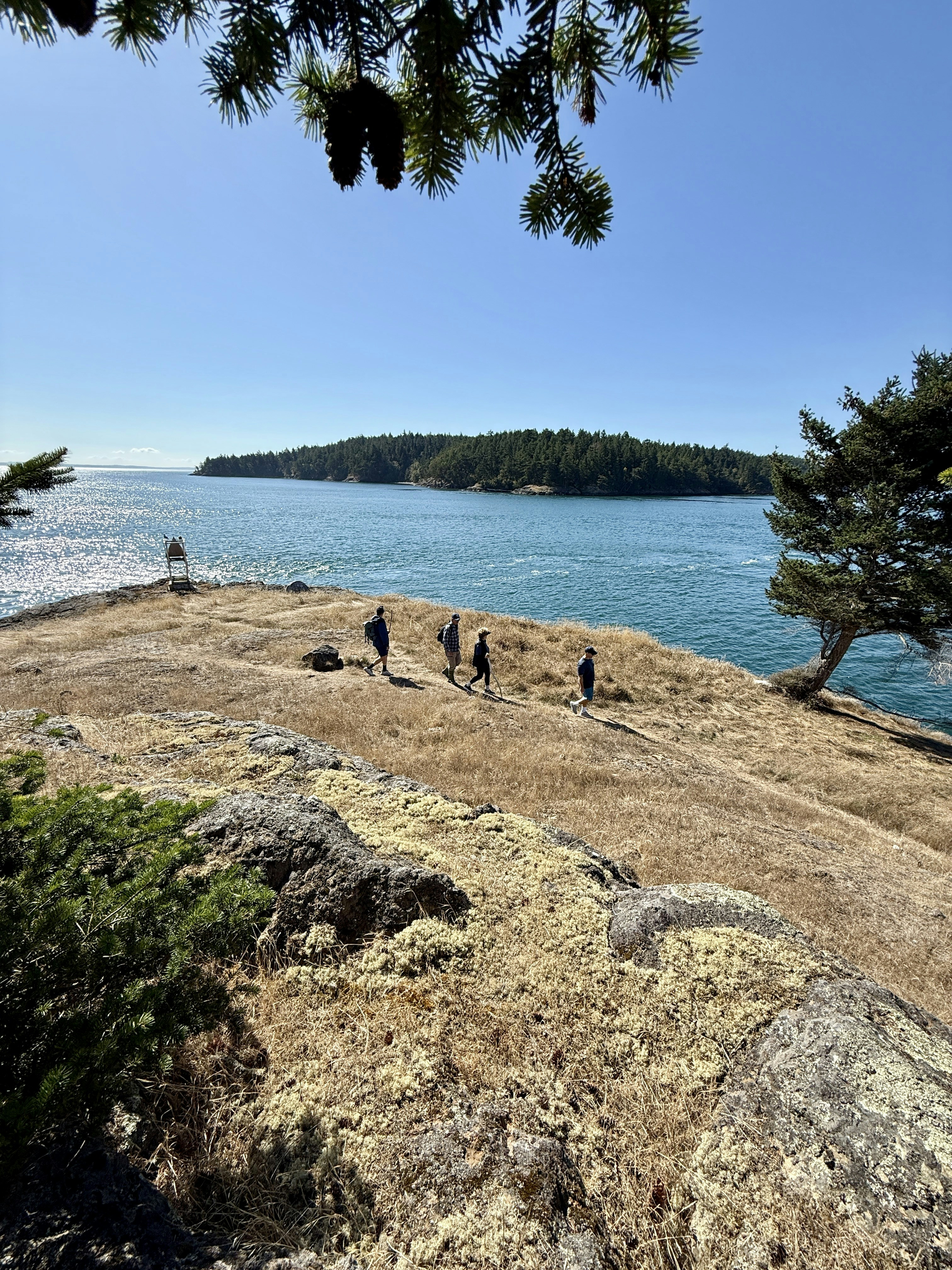 People walking on a grassy island near the ocean.