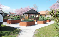 Raised garden beds surround a gazebo in a park.