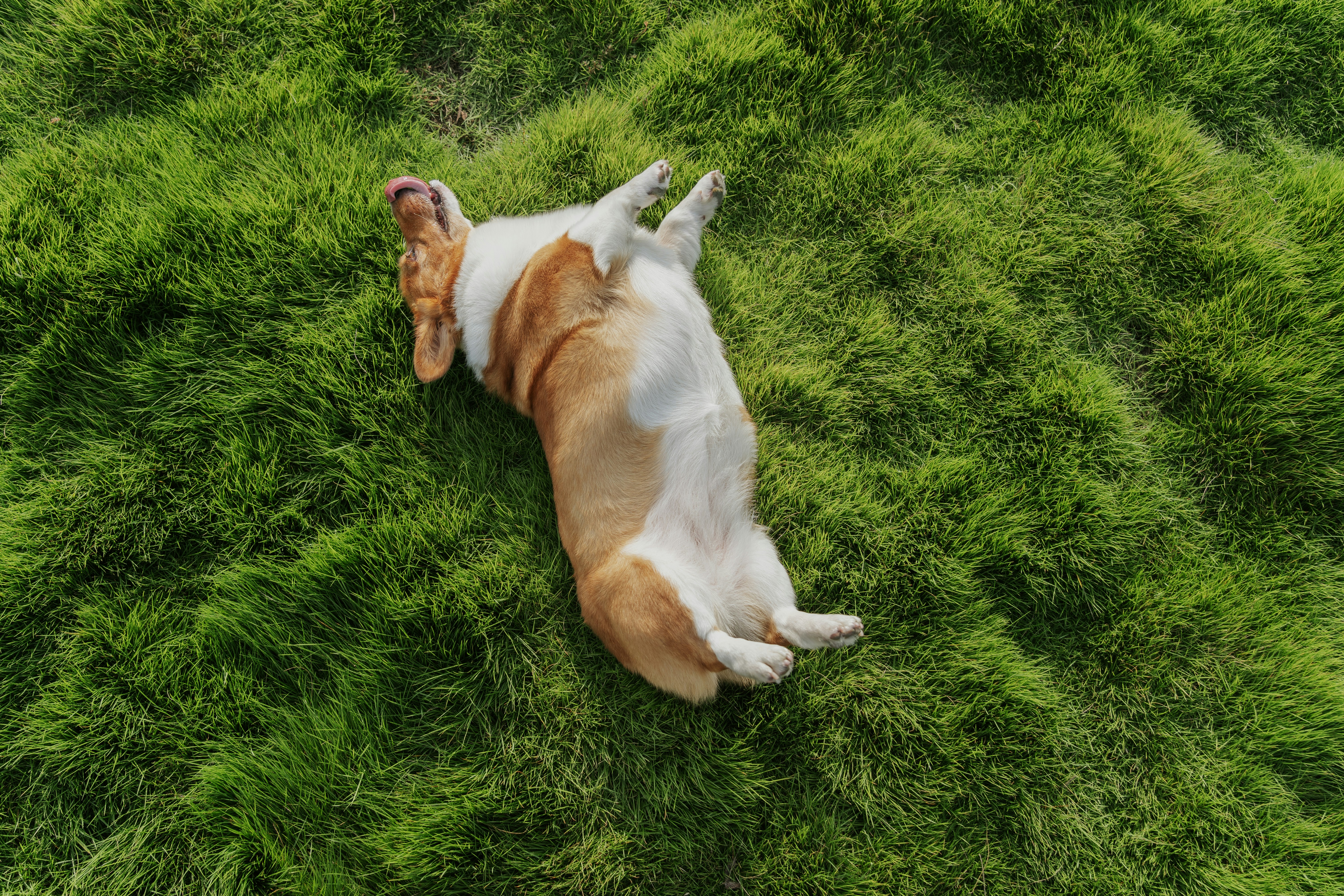 Kindergarten Vs. Daycare: What Should Moms And Dads Understand About Their Distinctions?