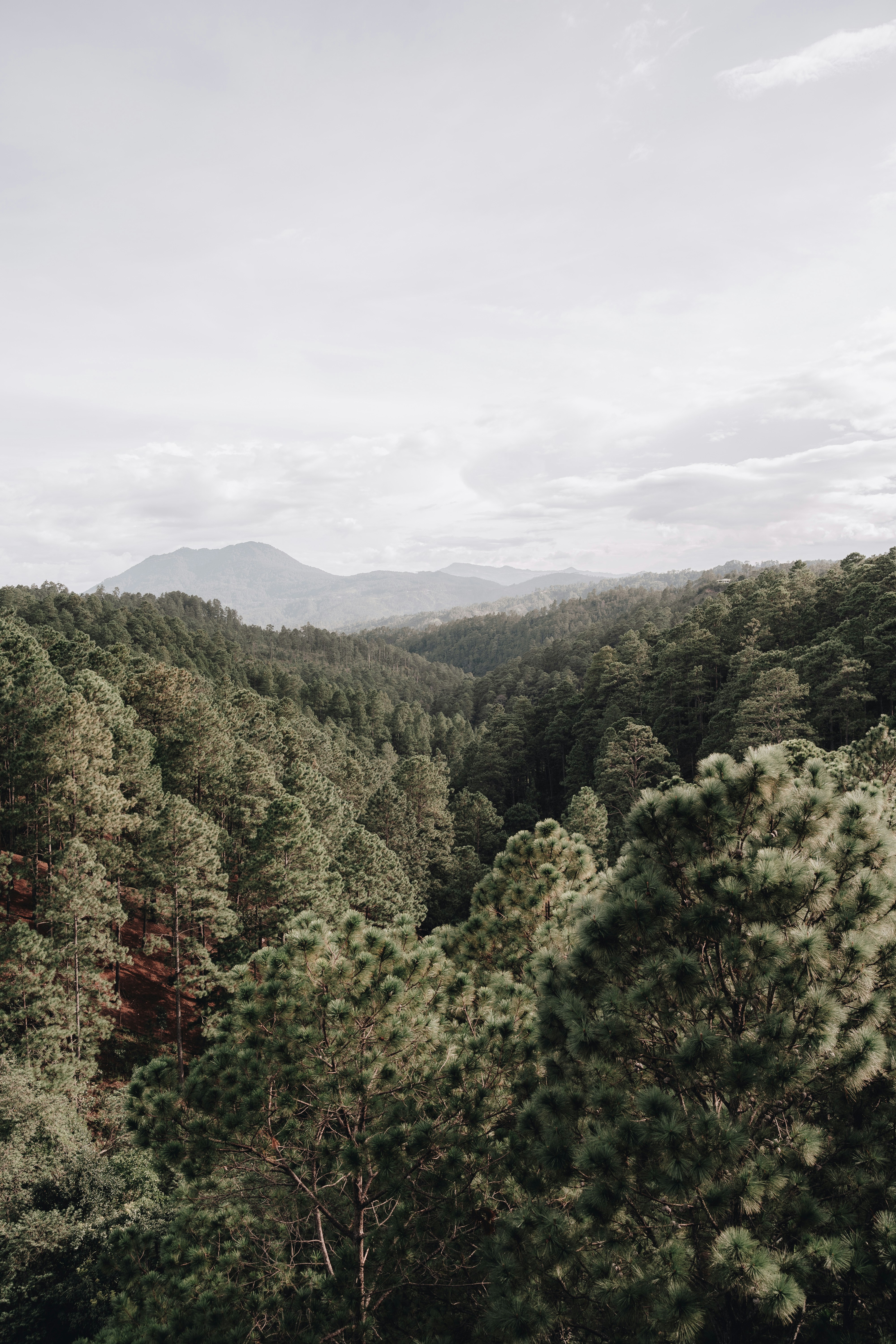 Photo by edgardjosuee