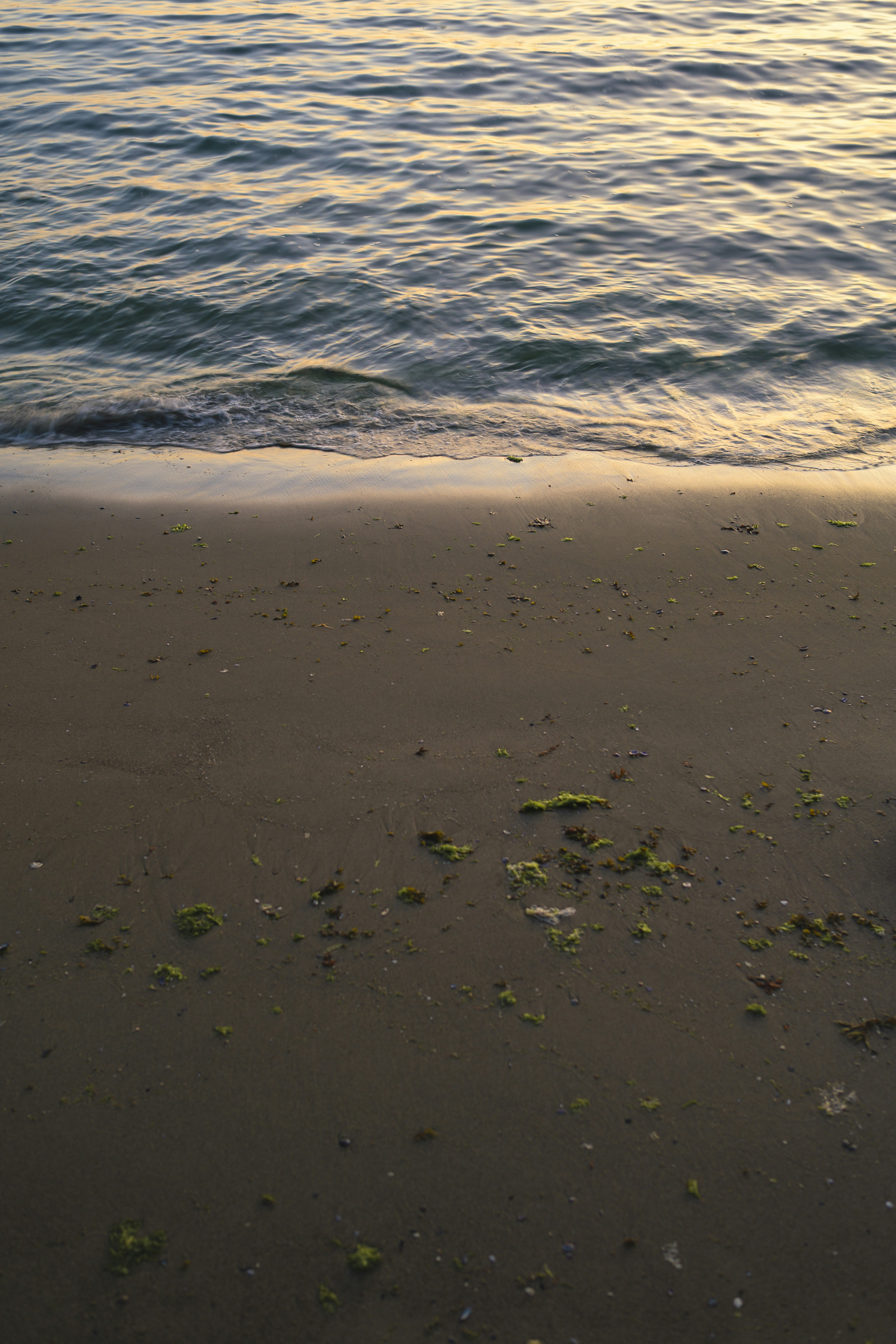 Photo by albertstoynov