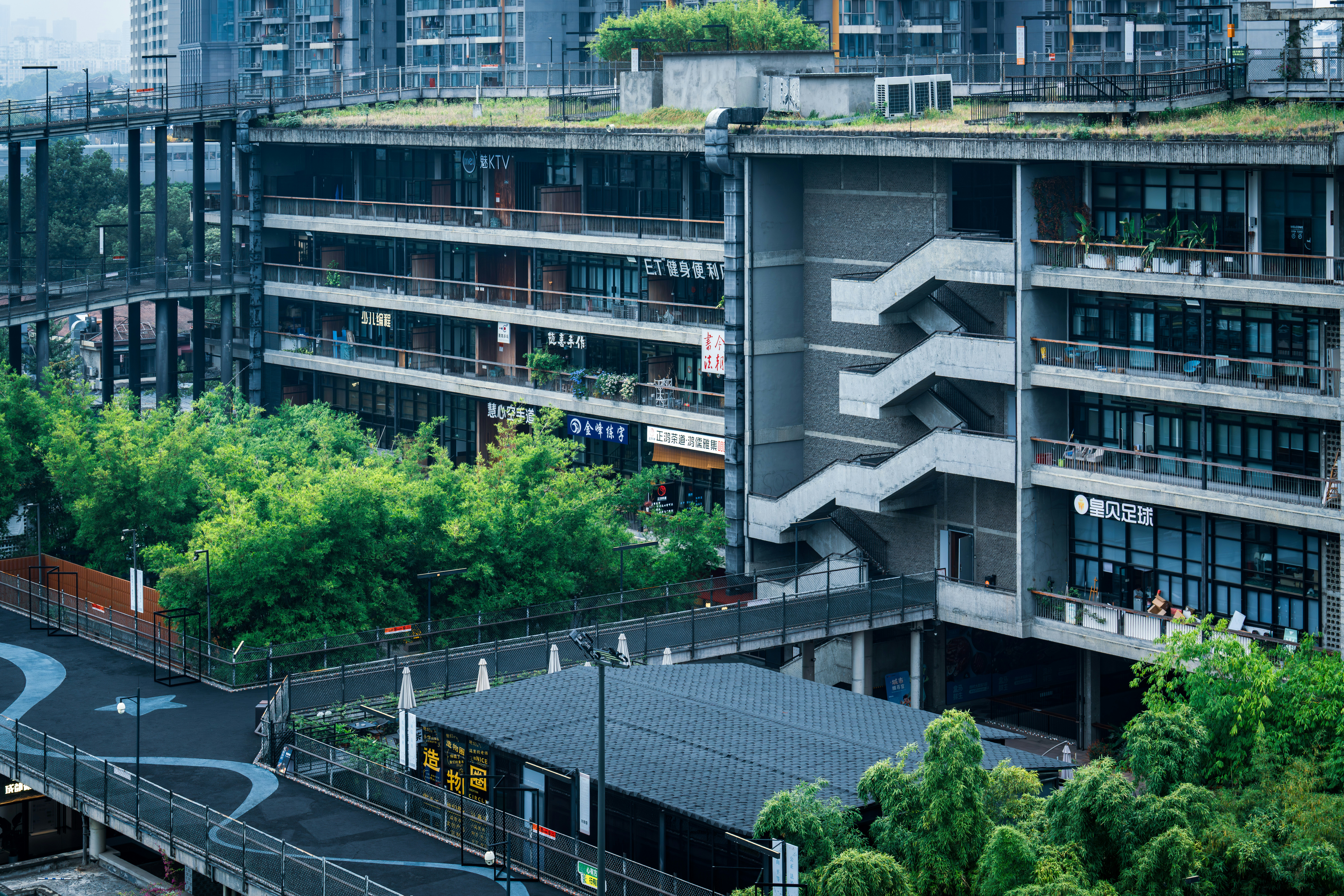Modern building with green rooftop and bamboo plants