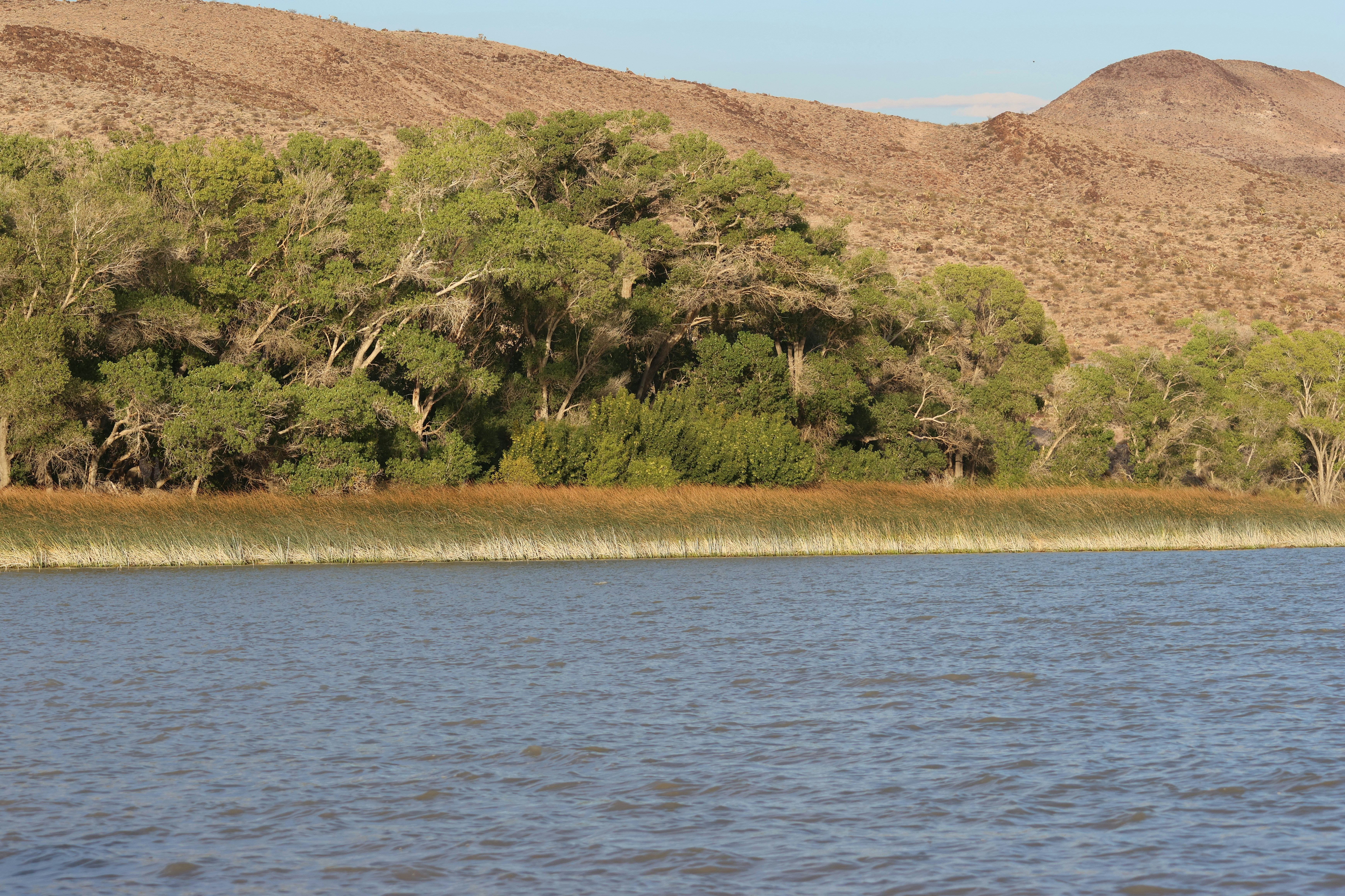 Photo by cornthechicken