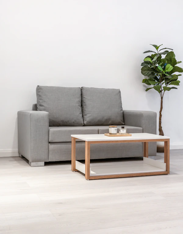 Couch and upholstery cleaning