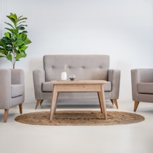 A modern living room with grey furniture and plants.