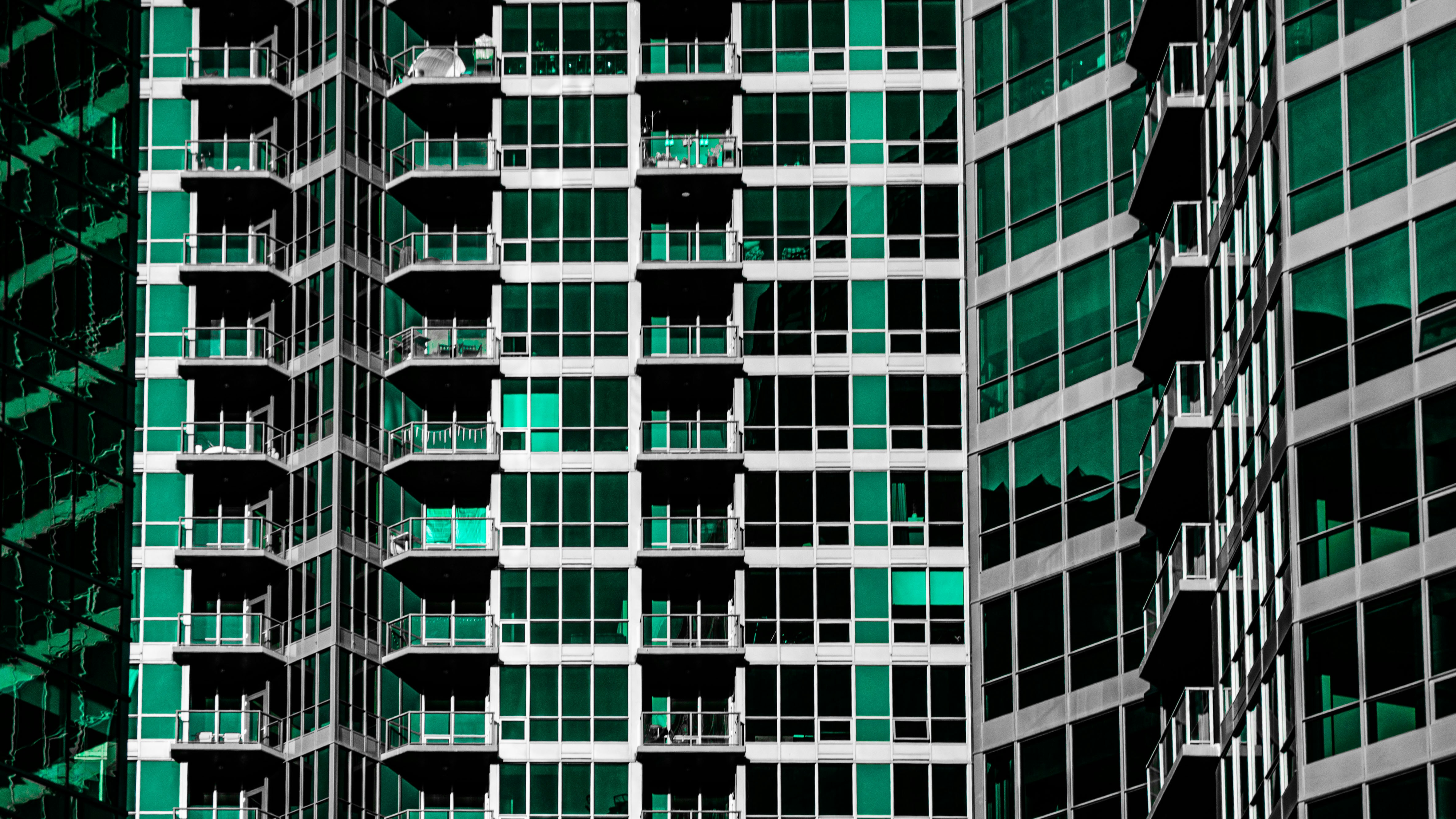 Photo by dmytro_yarish