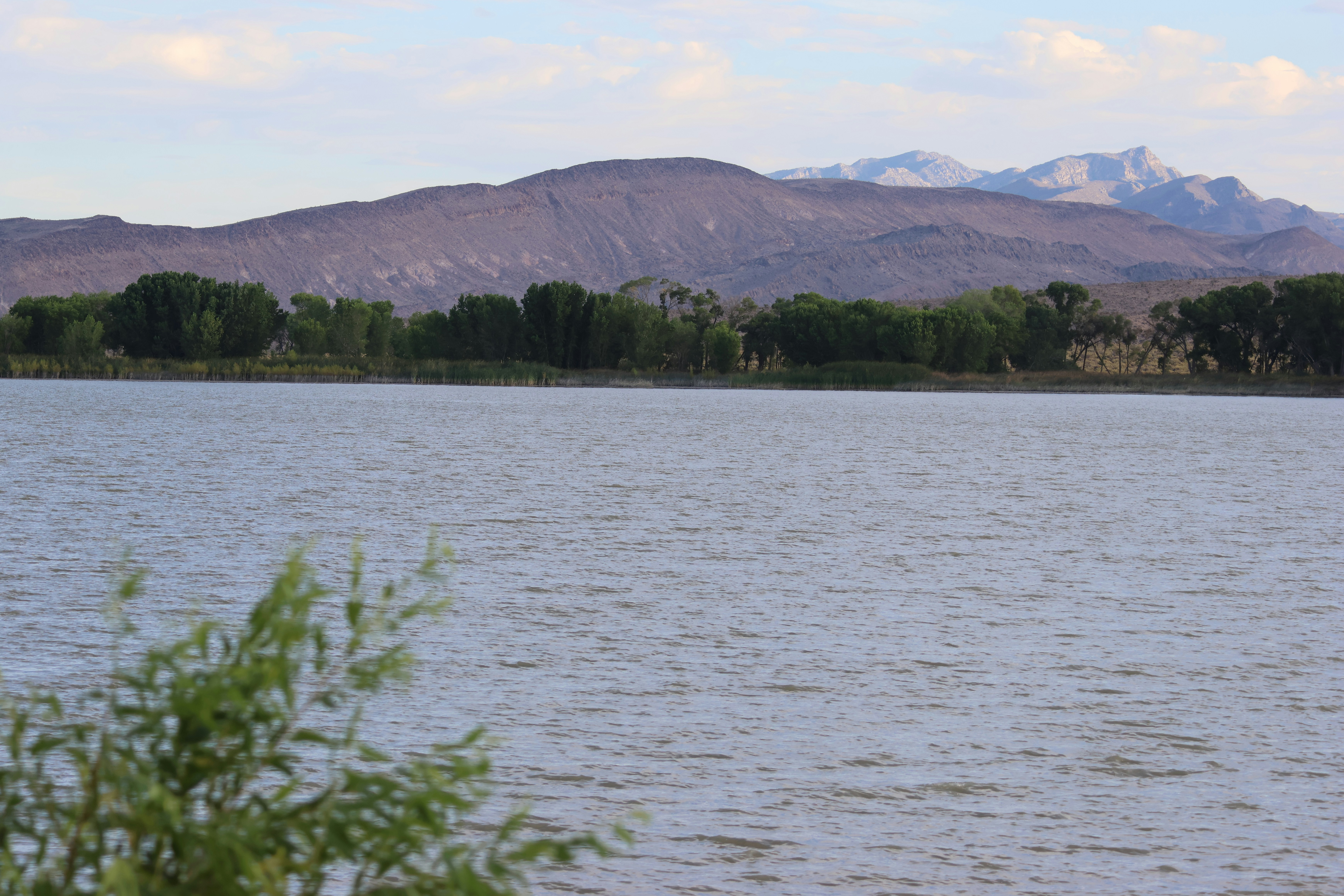 Photo by cornthechicken