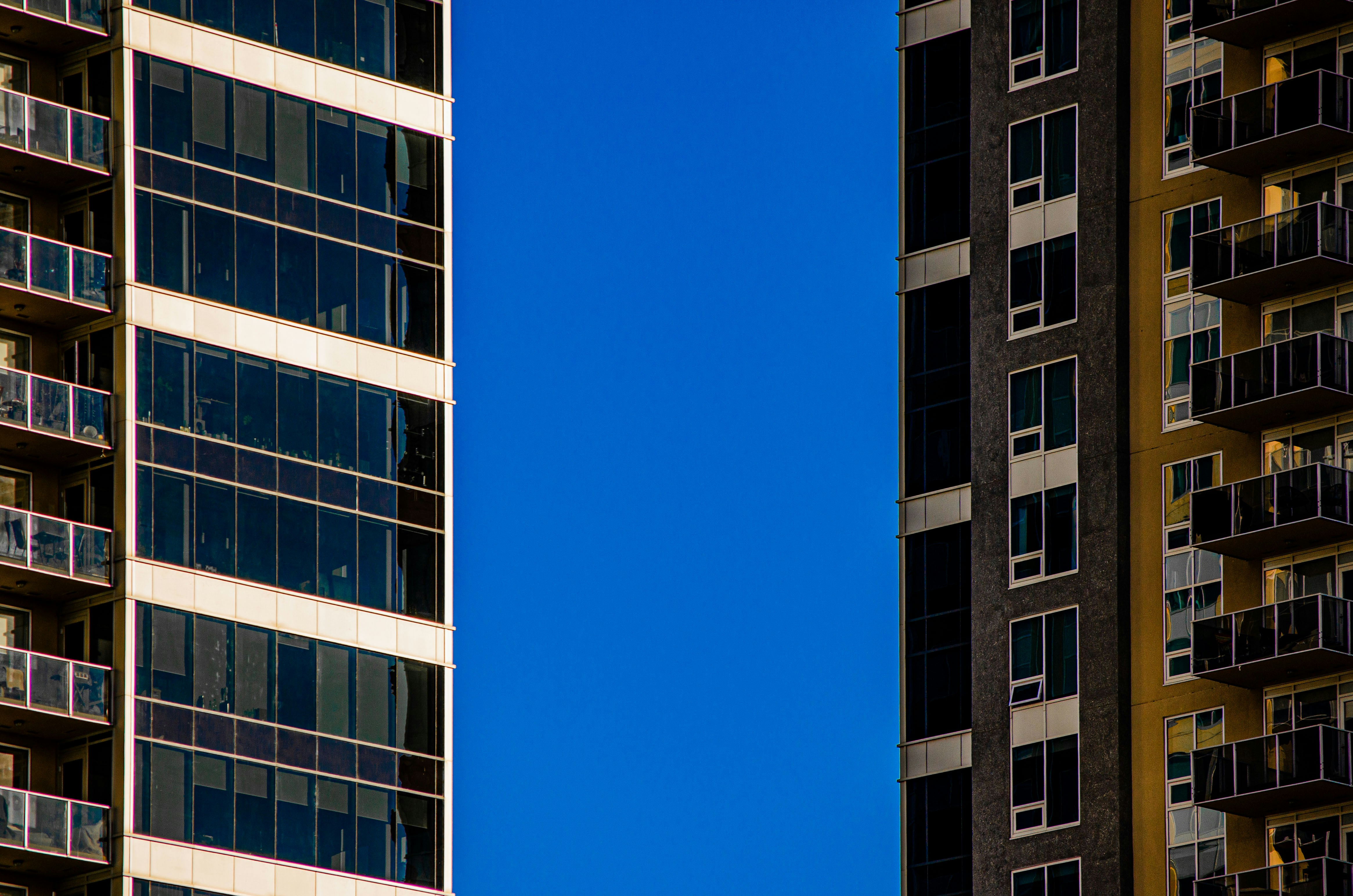 Photo by dmytro_yarish