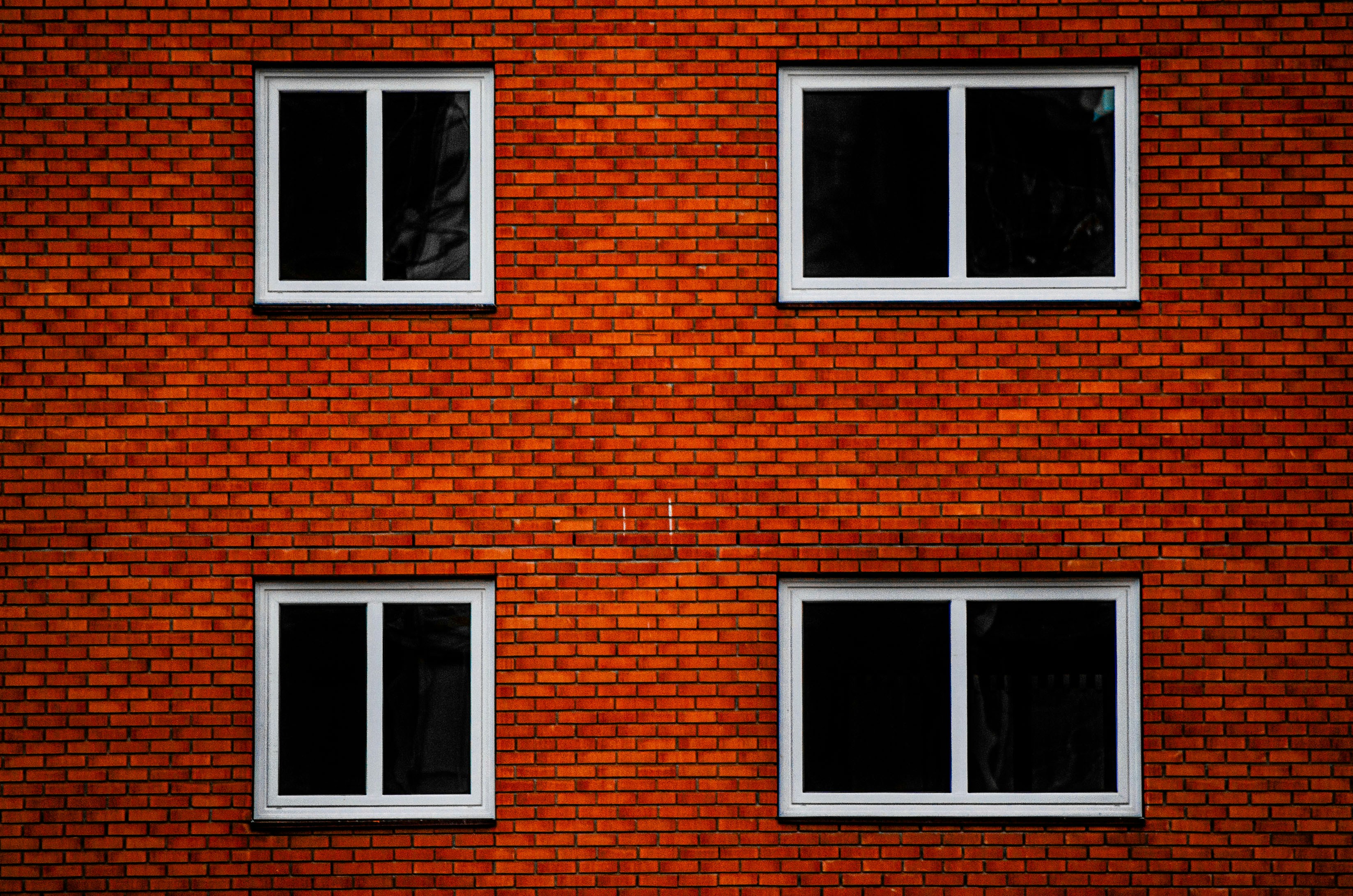 Photo by dmytro_yarish