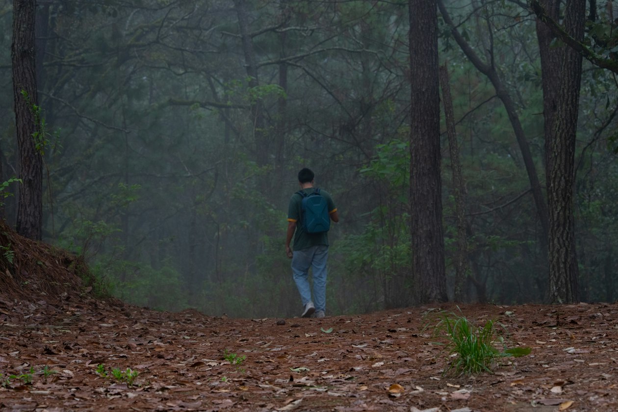 Randonneur avec sac à dos sur un sentier forestier dans la brume, le sol couvert d’aiguilles de pin
