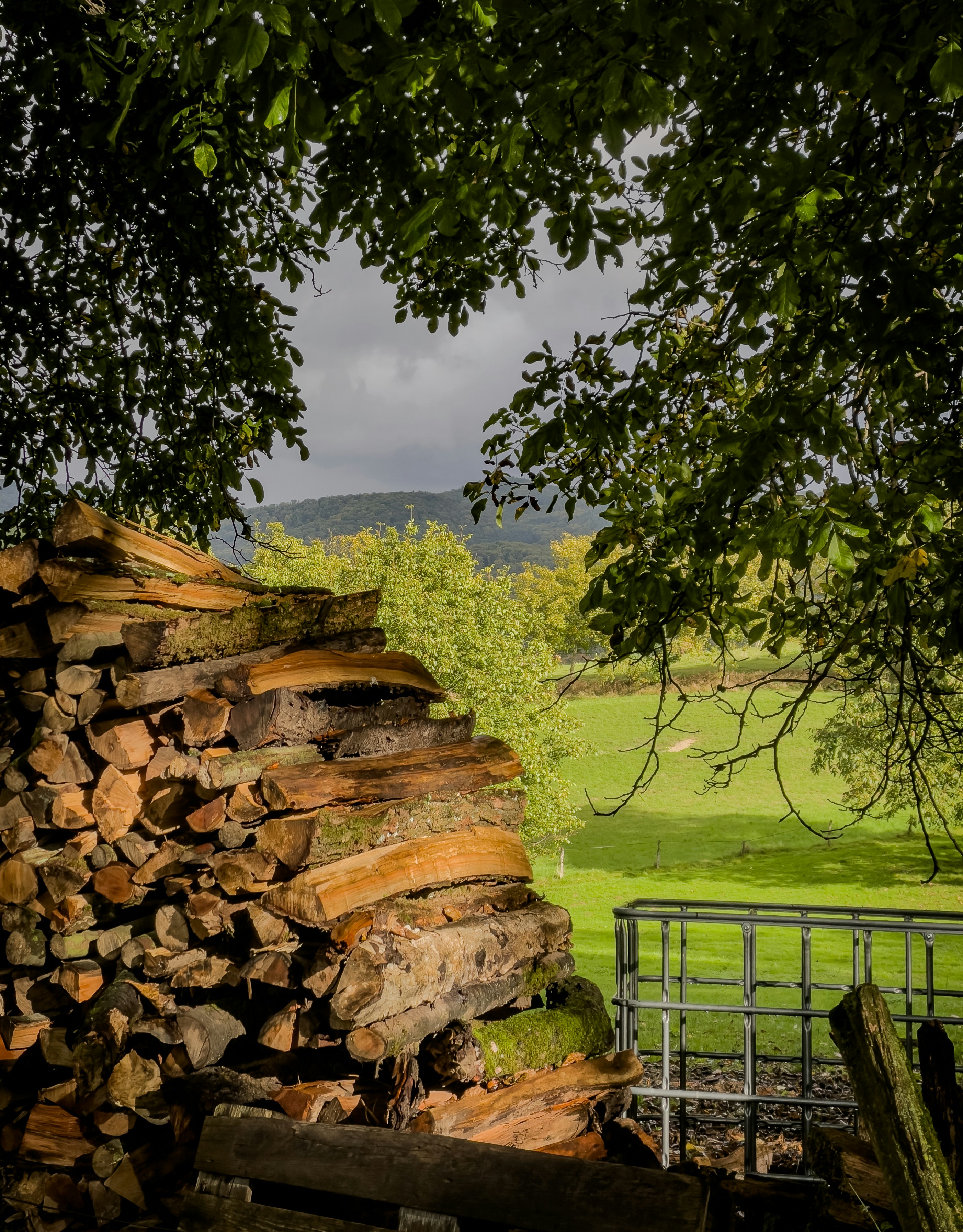 Pile of firewood with a green meadow beyond