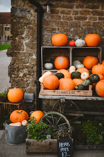 Assortment of pumpkins and gourds displayed outdoors.