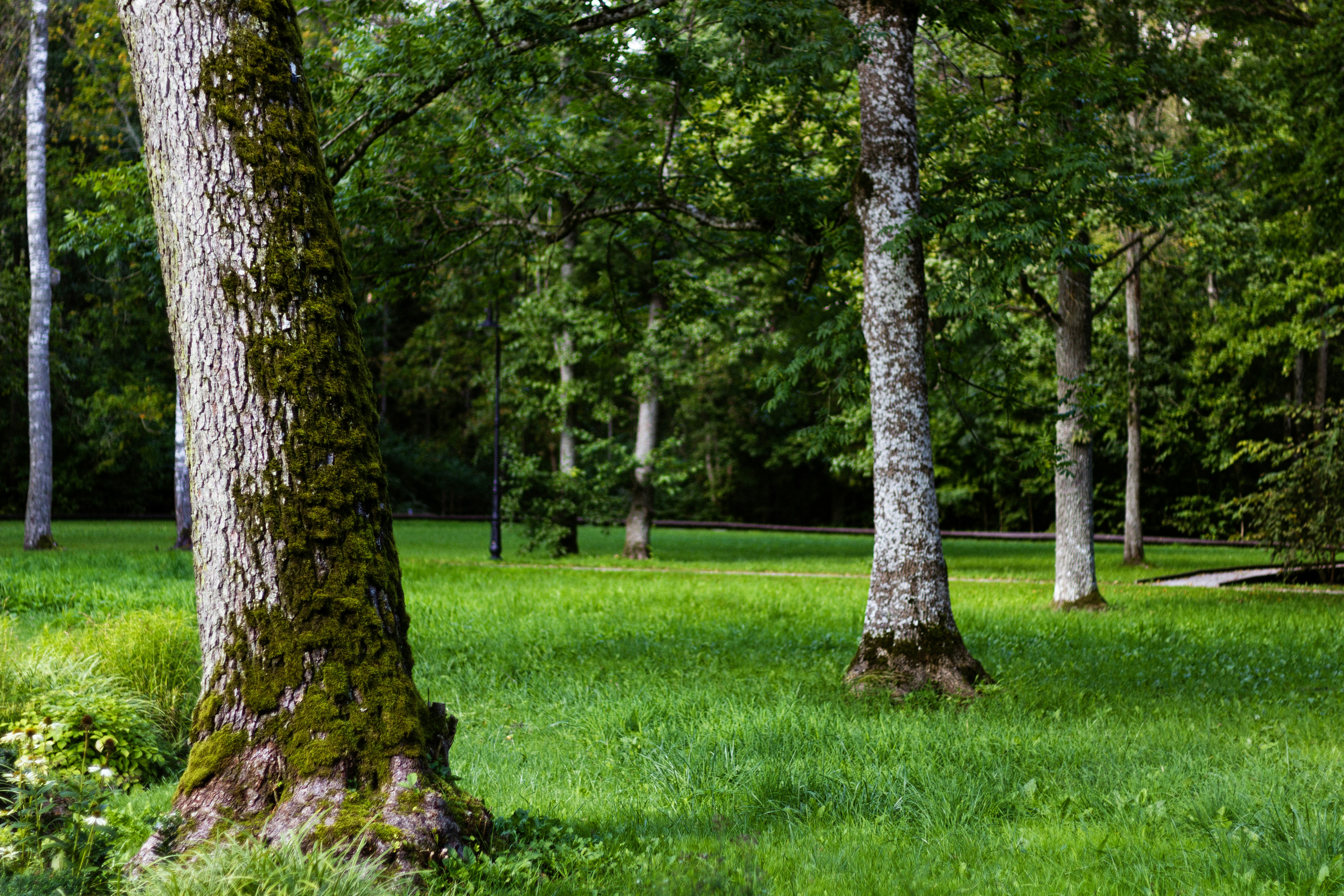 Photo by reinisbruzitis