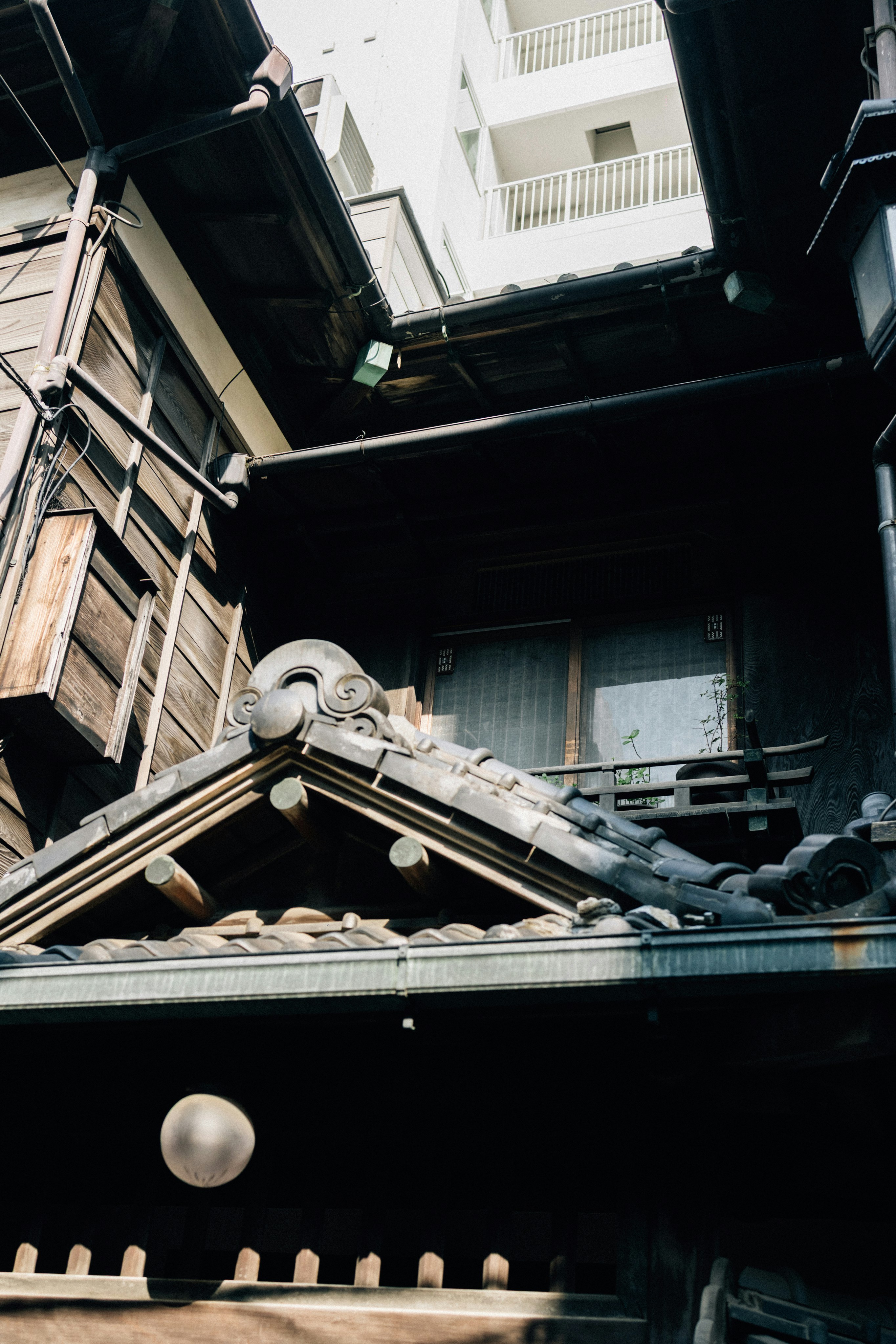 Photo by tsuyoshikozu