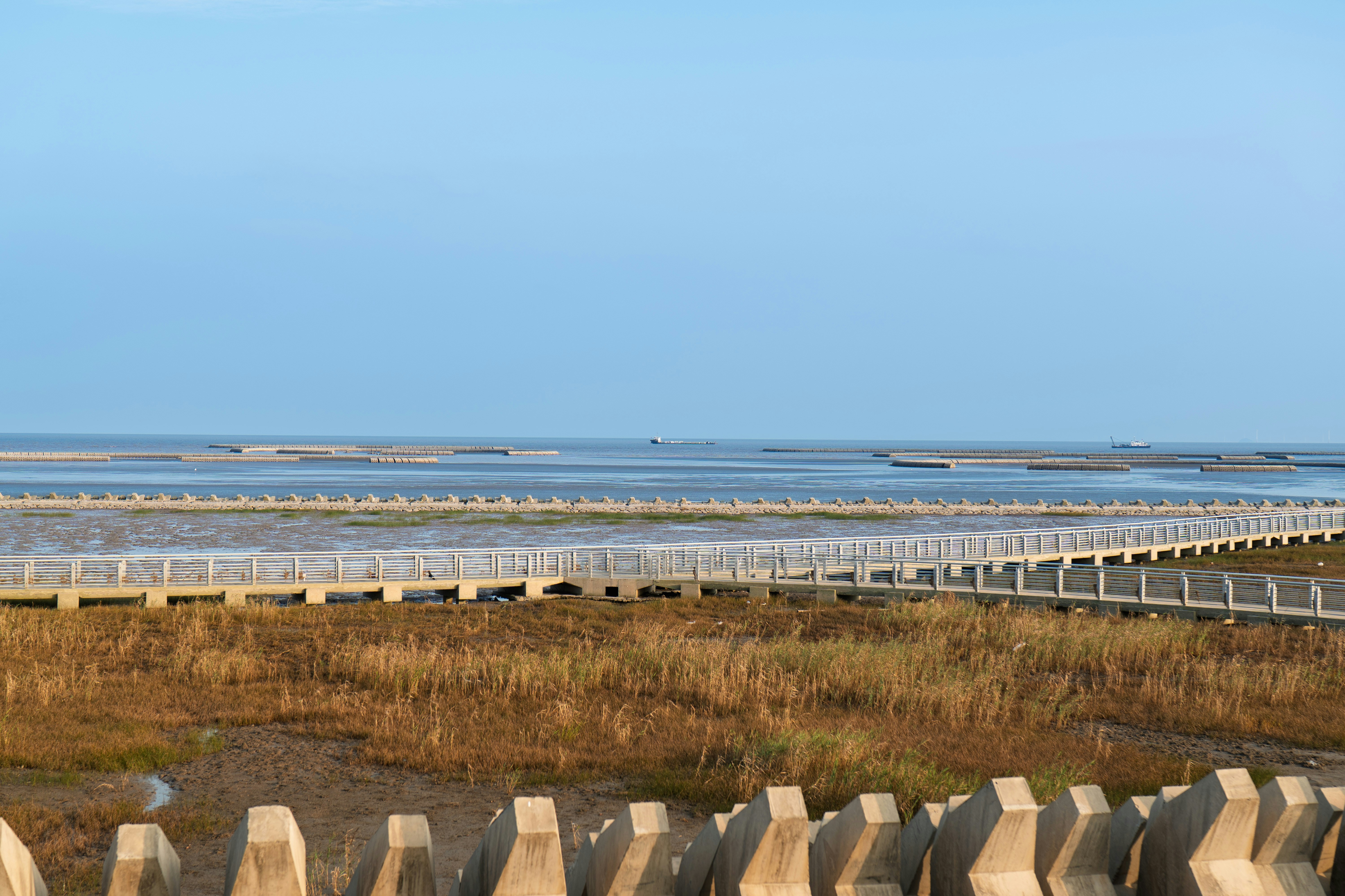 Future-Proofing Coastal Protection: Localized and Generic Approaches to Socio-Ecological Infrastructure