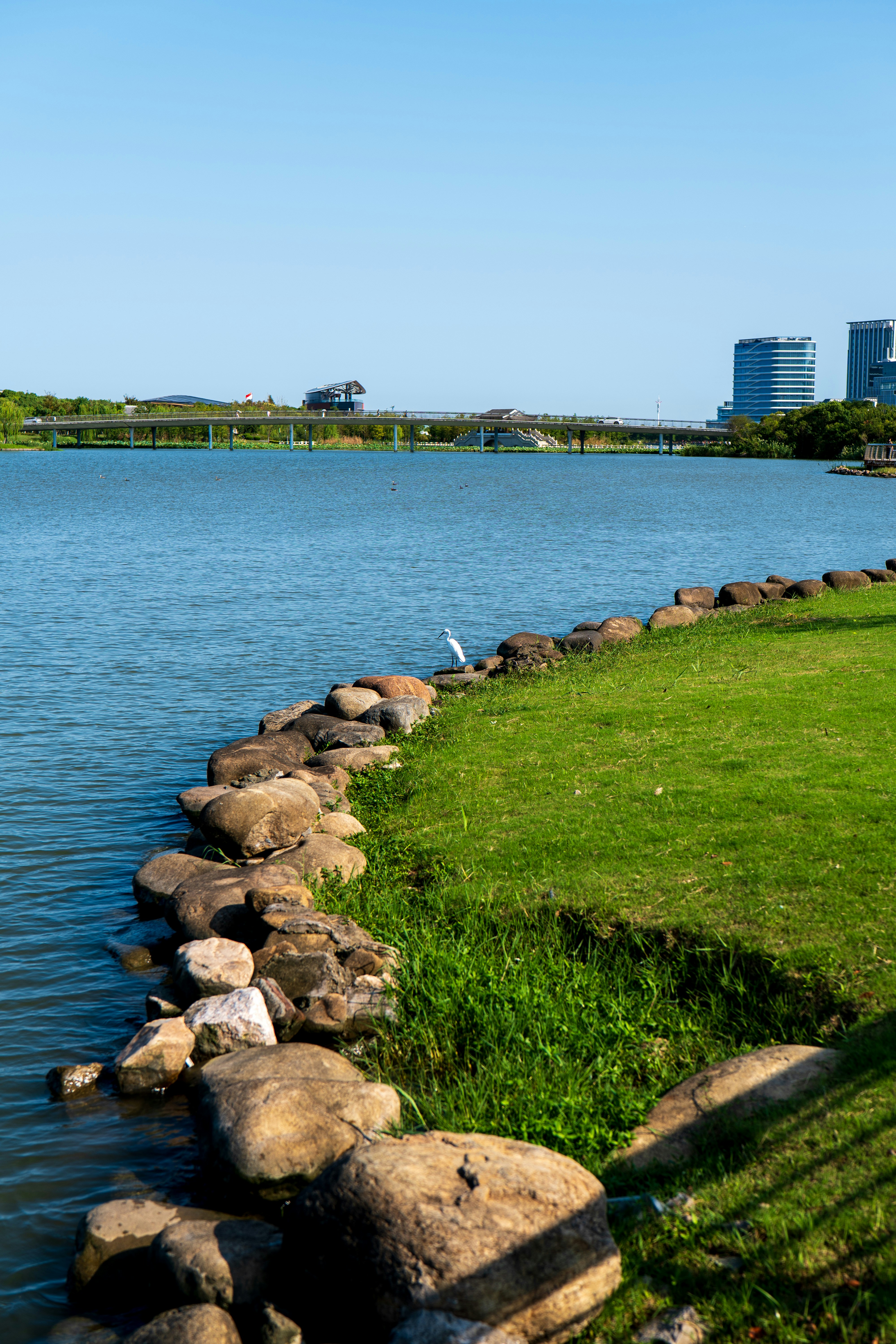 waterfront consultation