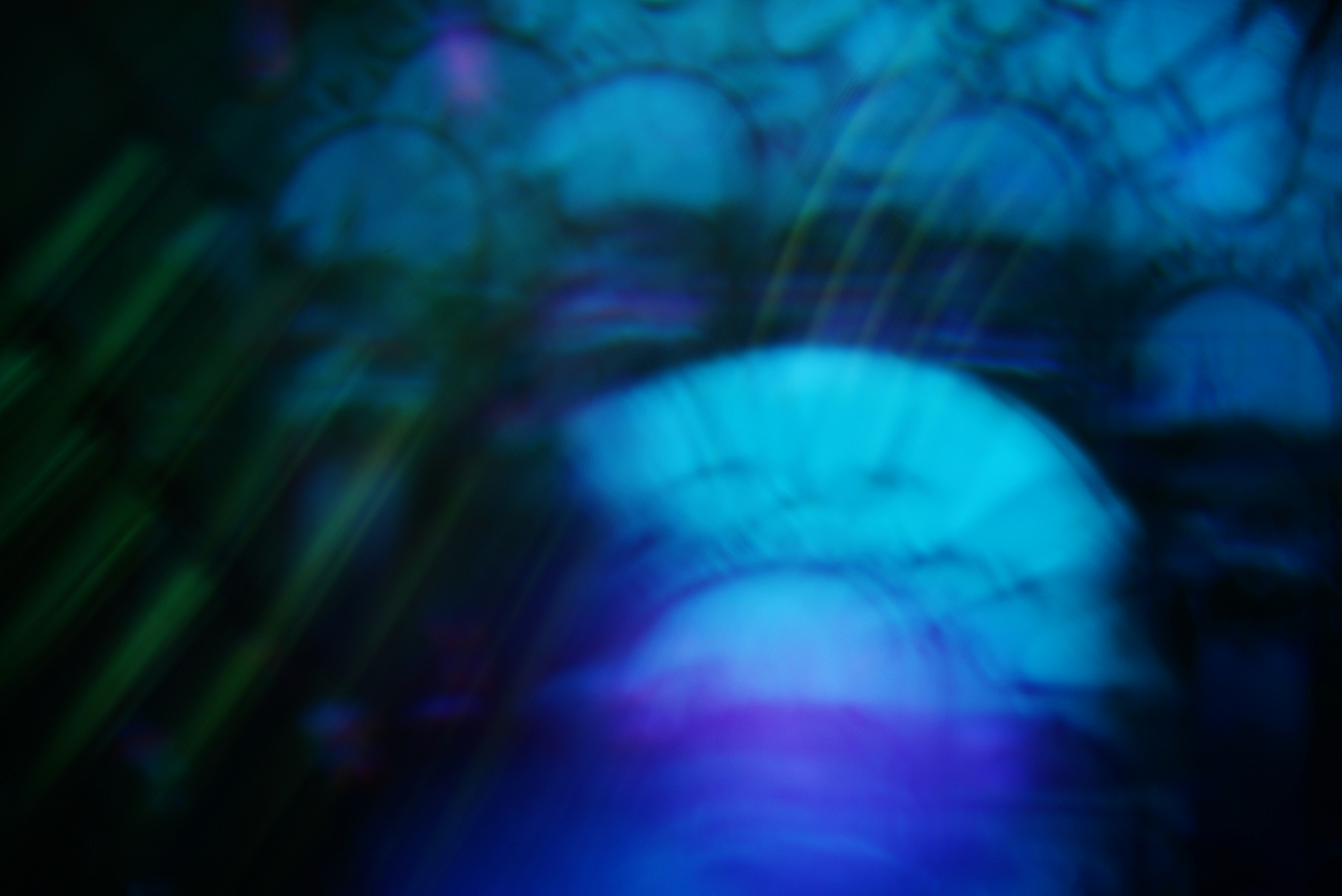 Photo by cherstve_pechivo