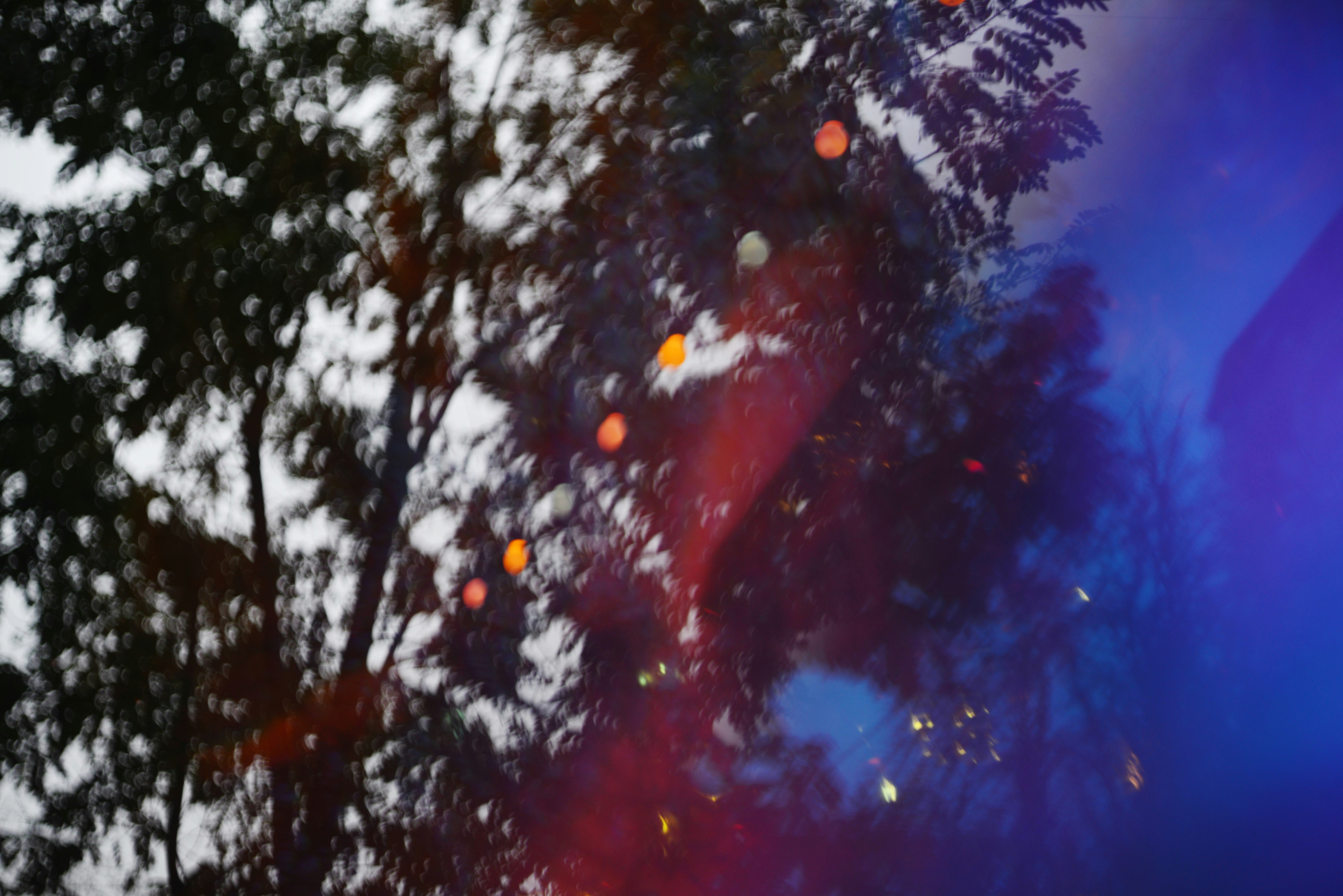 Photo by cherstve_pechivo