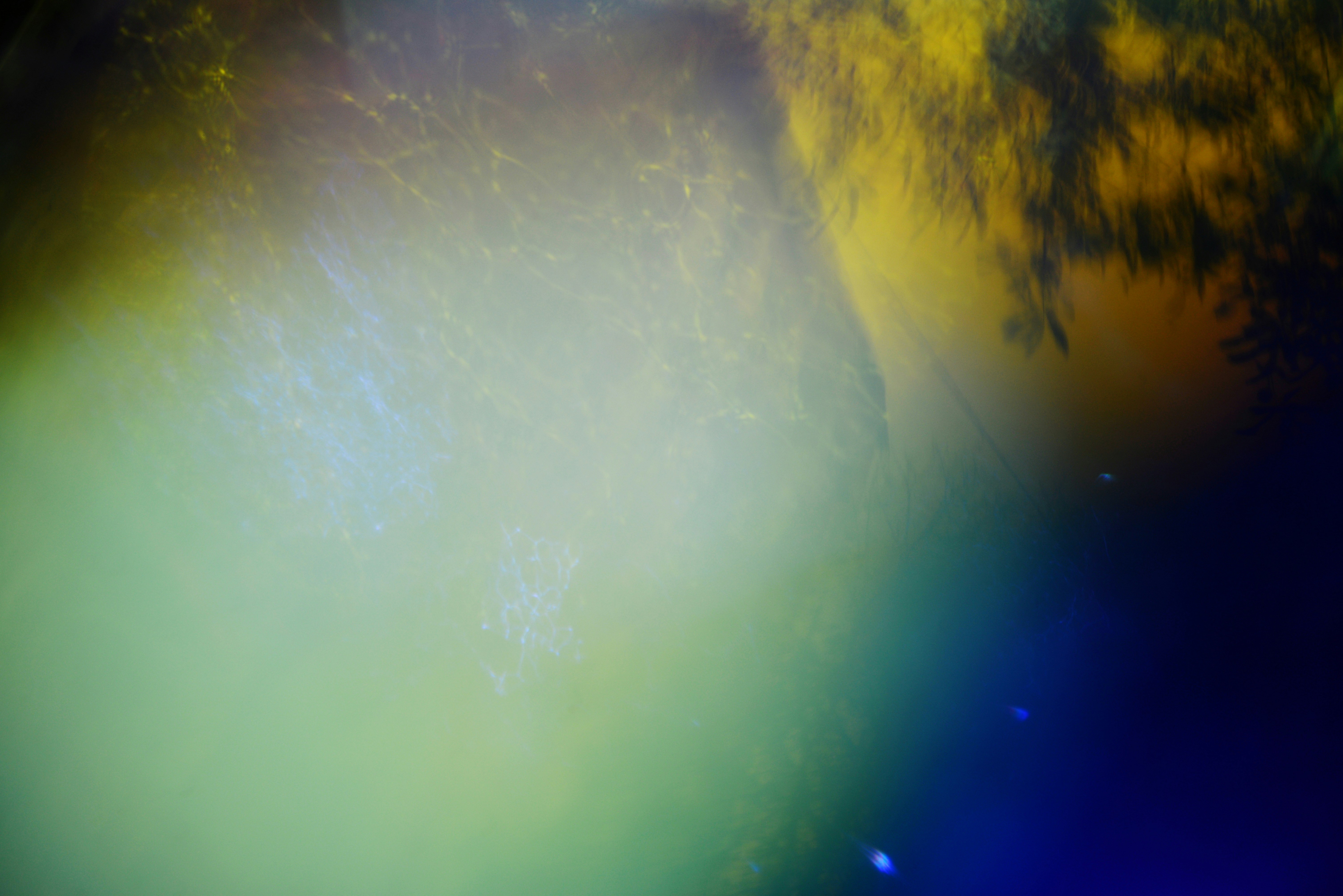 Photo by cherstve_pechivo