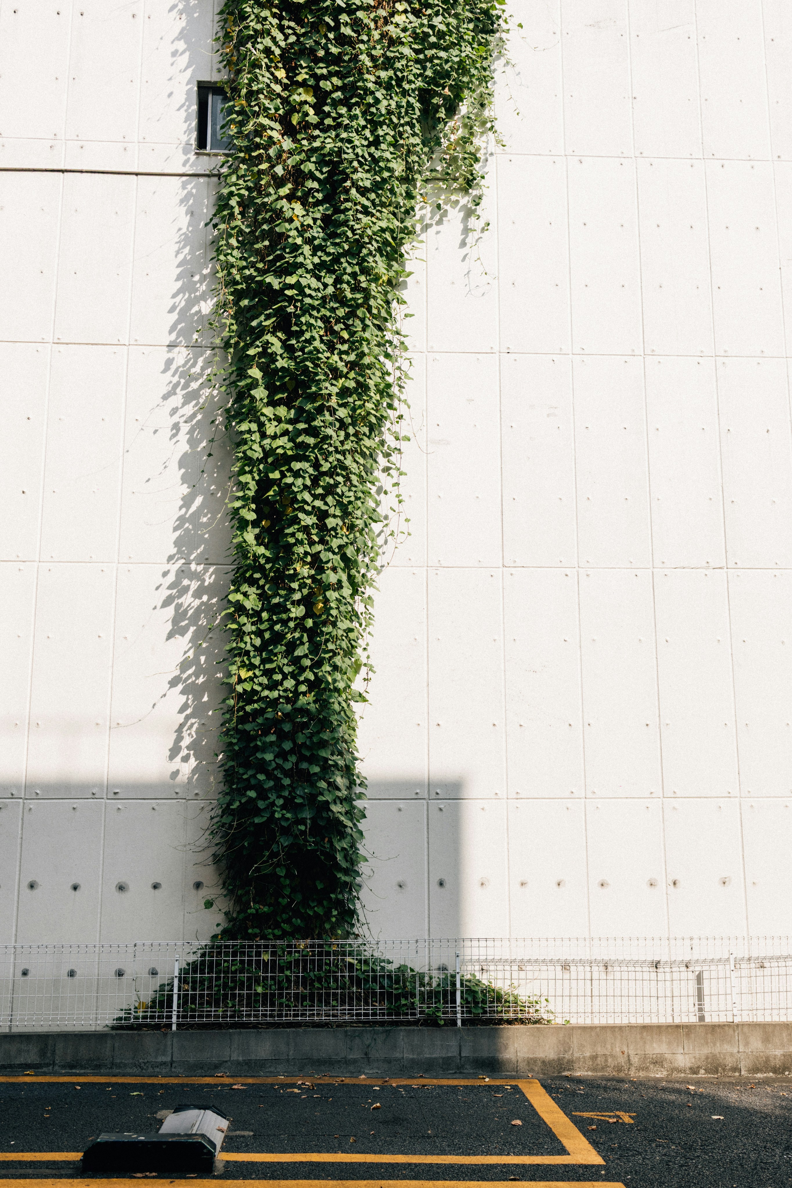 Photo by tsuyoshikozu