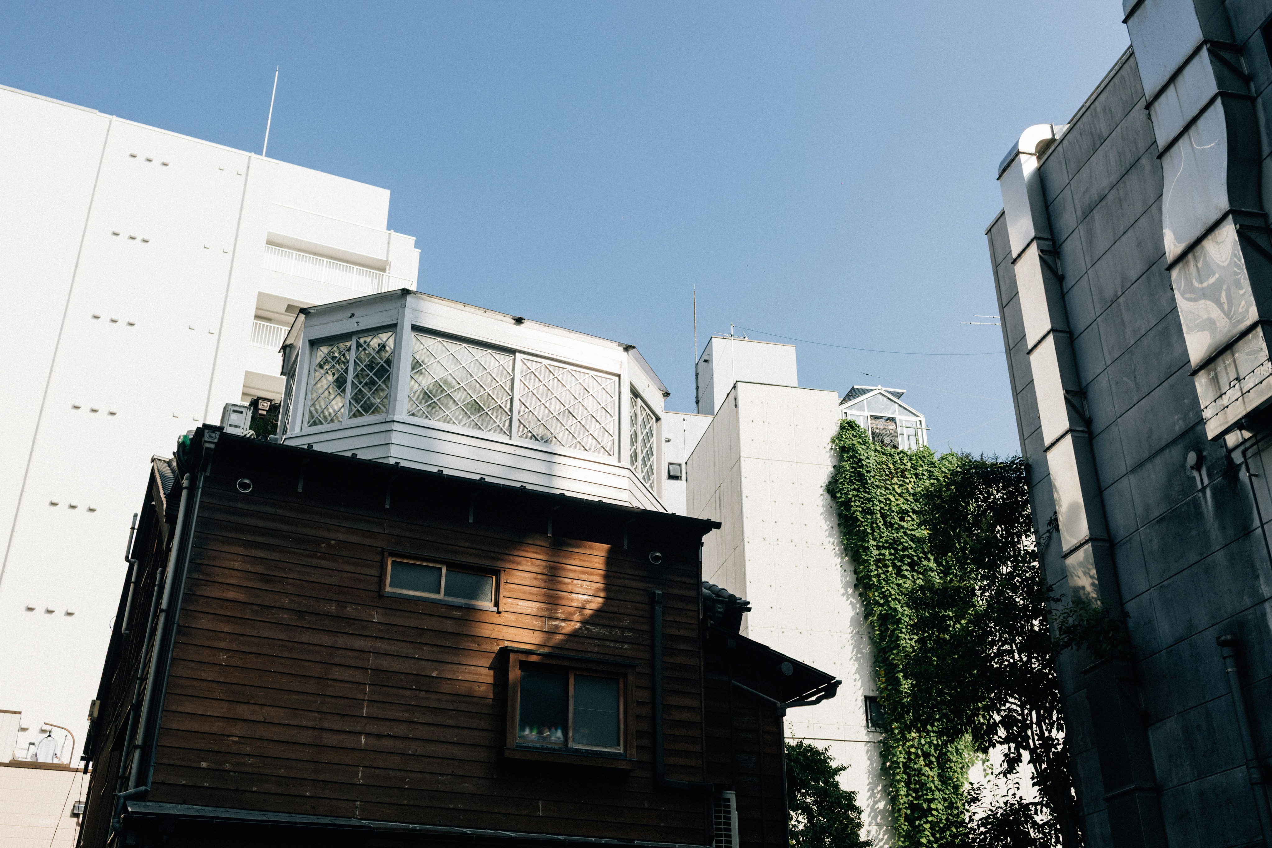 Photo by tsuyoshikozu