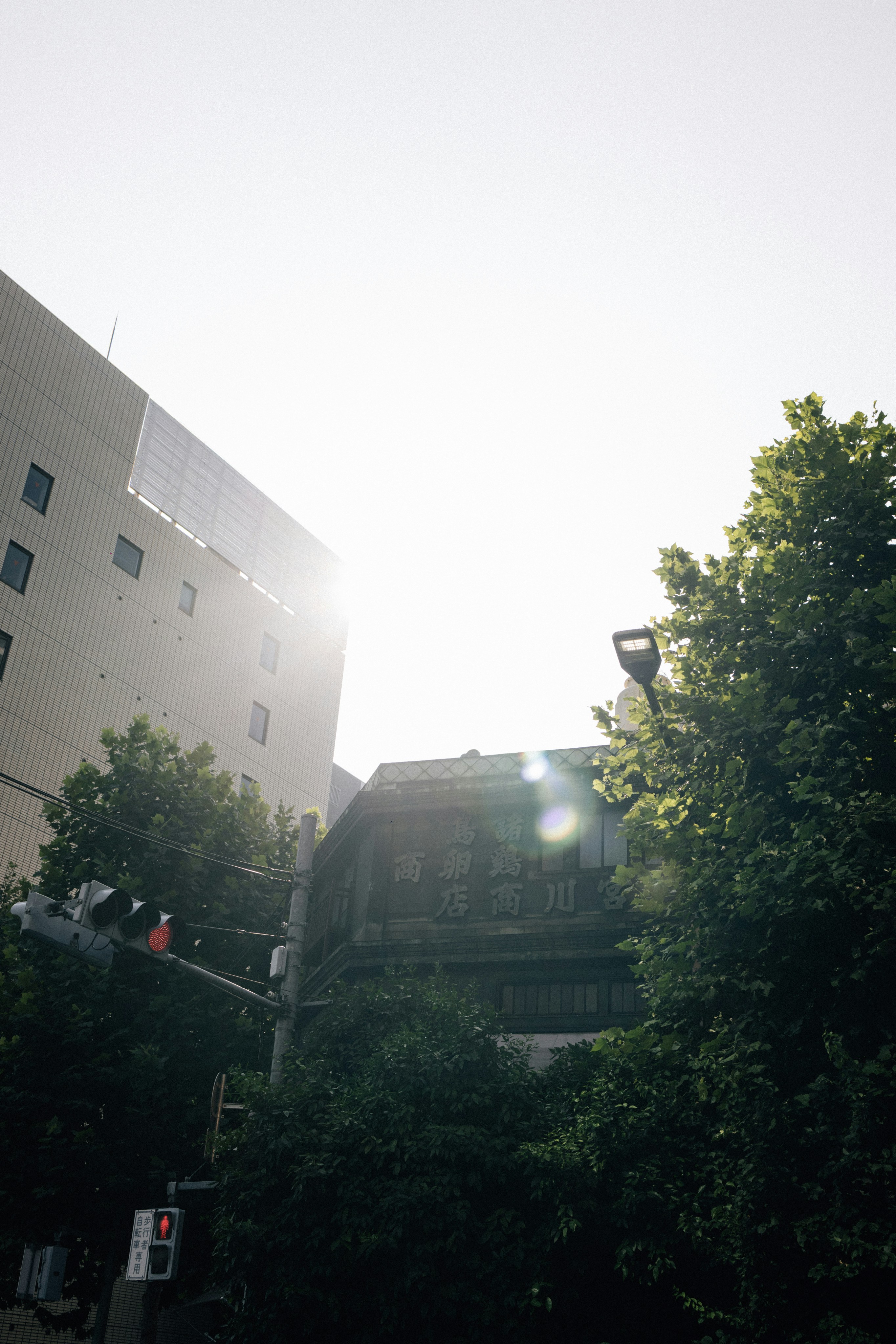 Photo by tsuyoshikozu