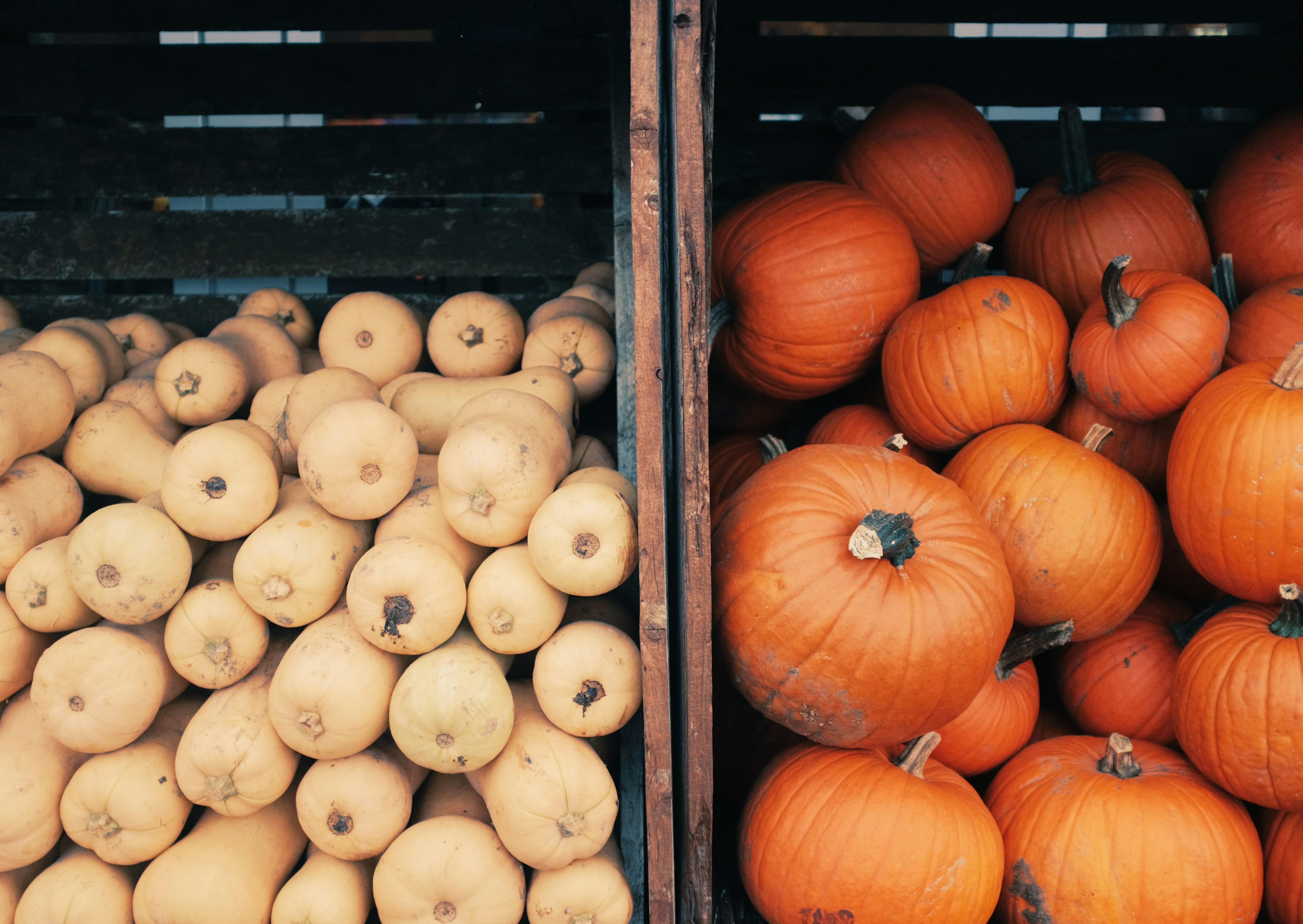 Crates filled with pumpkins and butternut squash
