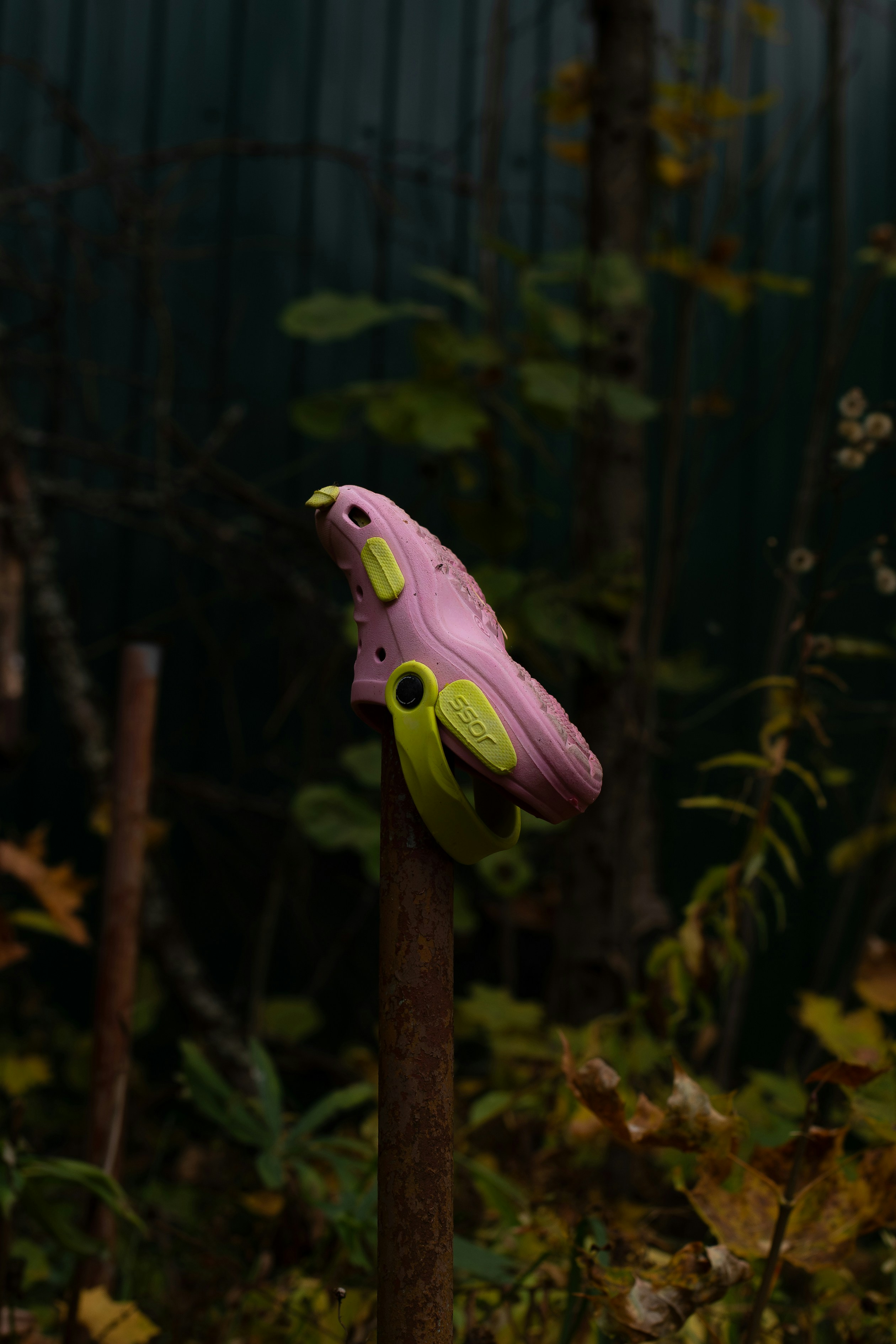 A pink shoe perched on a rusty metal pole.