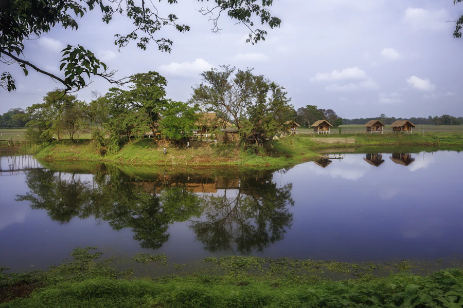 Peaceful rural Assam landscape