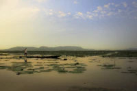 Best Affordable Bars in Majuli Where You Can Actually Afford a Round
