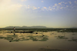 Majuli