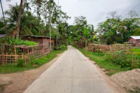 Best Street Food in Majuli: What to Eat and Where to Find It