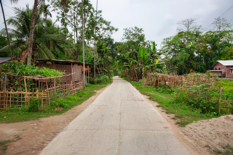Best Boutique Hotels in Majuli for Style, Character, and No Chain-Hotel Vibes