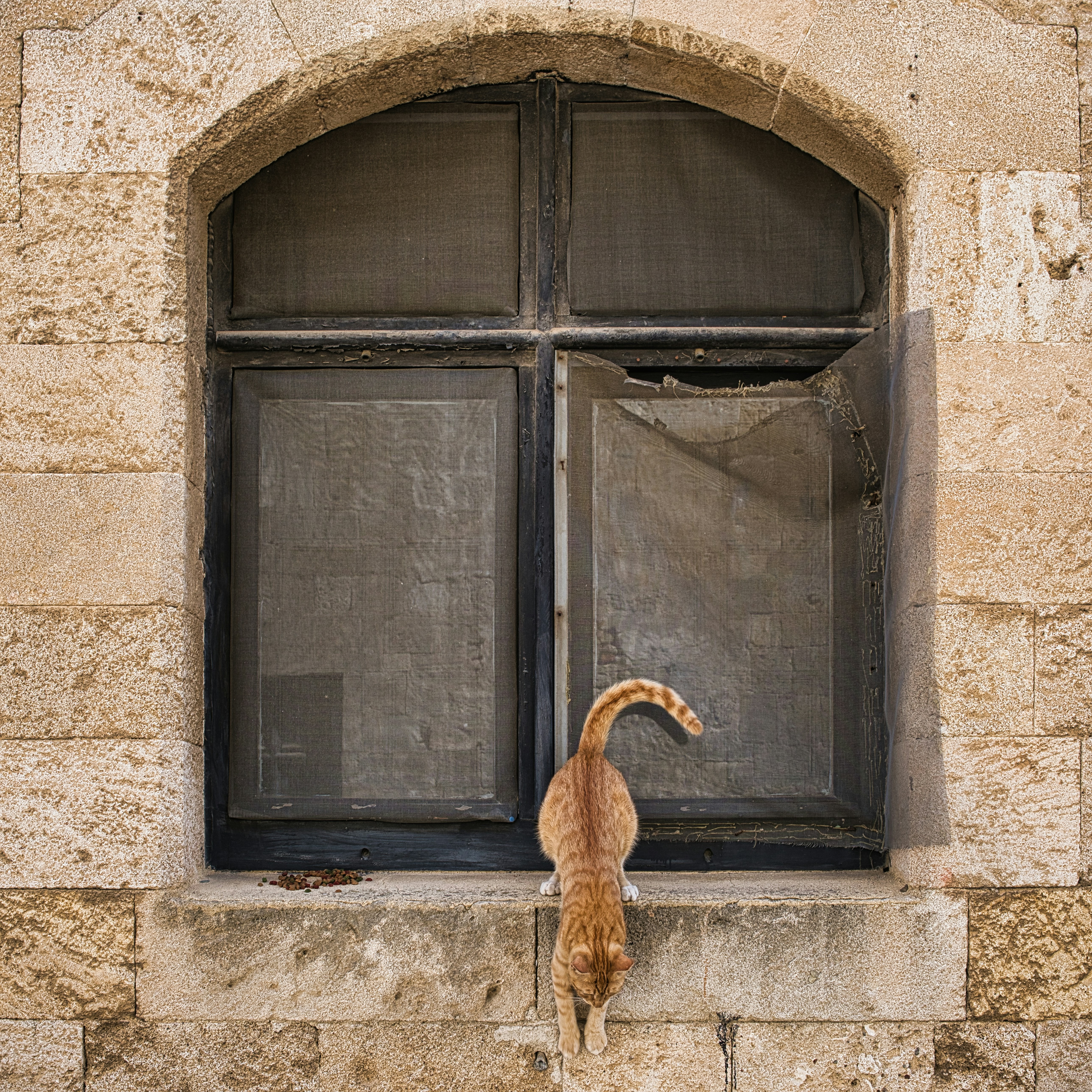 Photo by maksimshutov