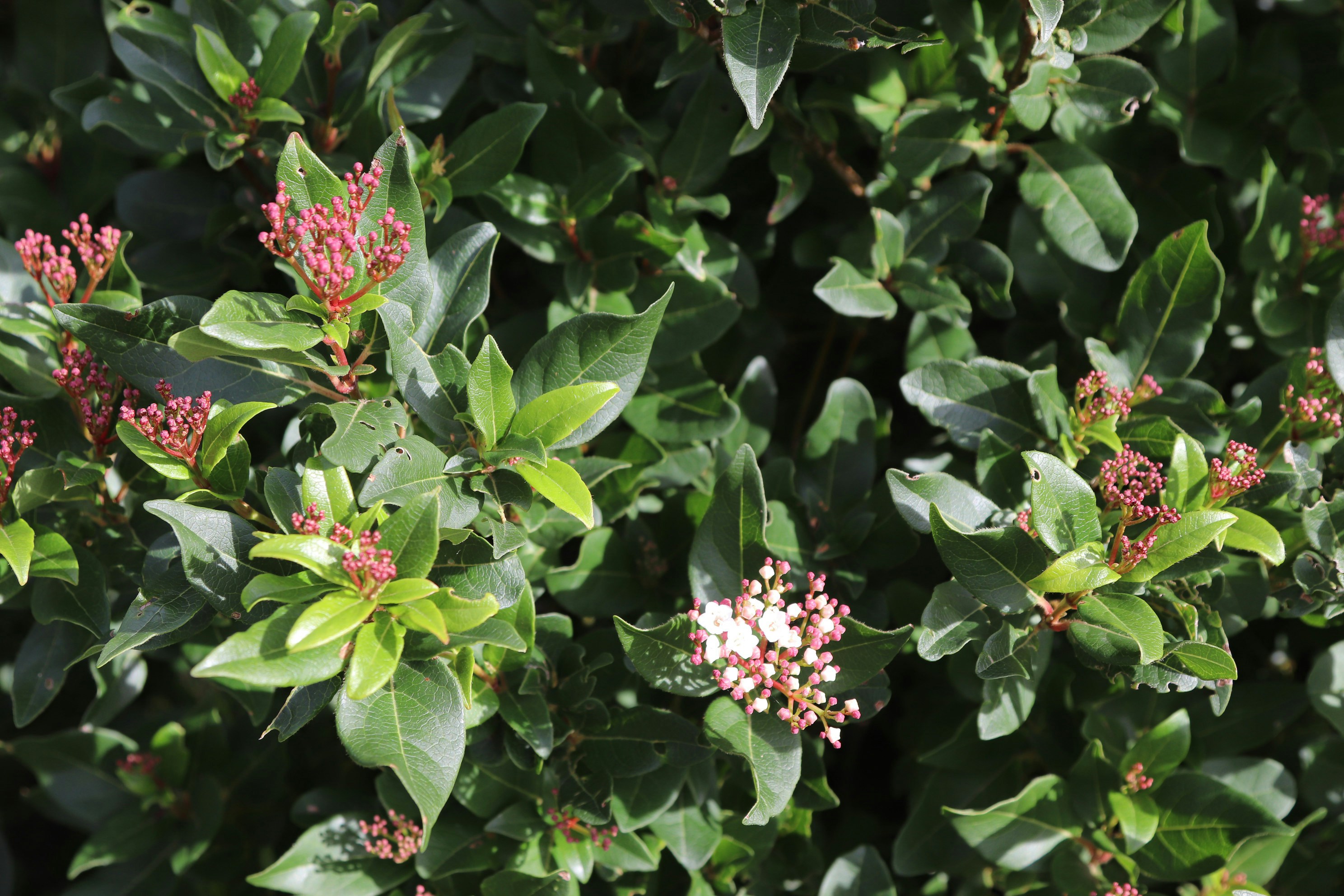 Photo by tanyabarrow