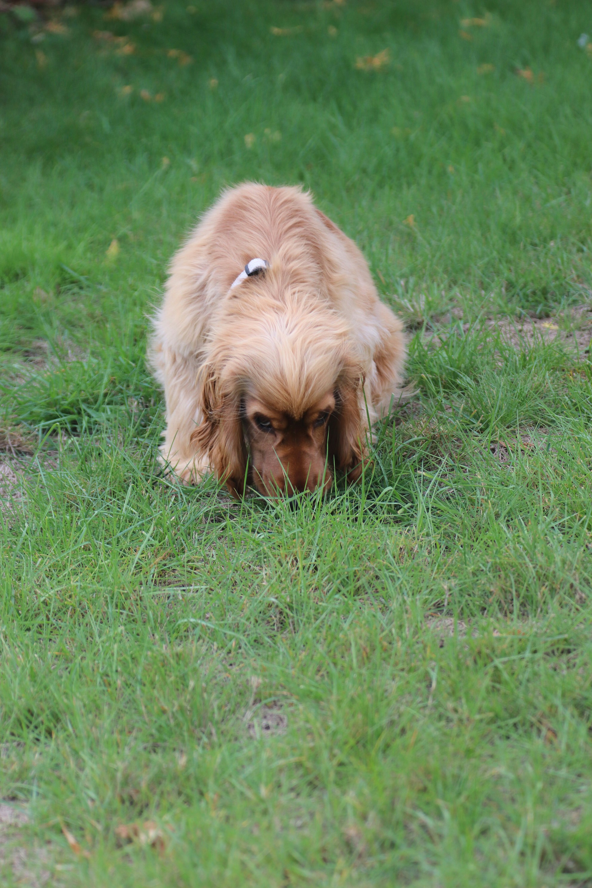 Photo by tanyabarrow