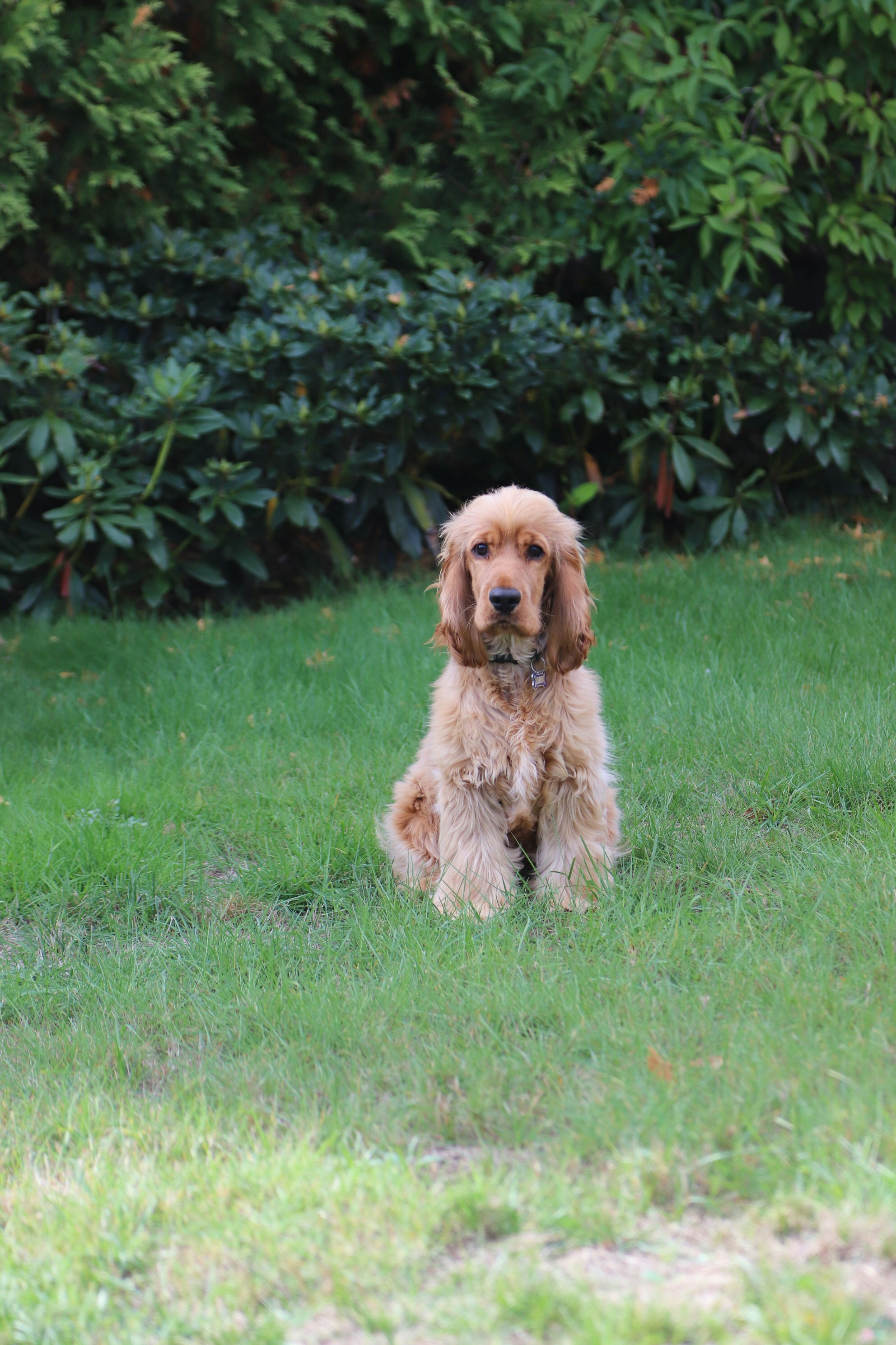 Photo by tanyabarrow