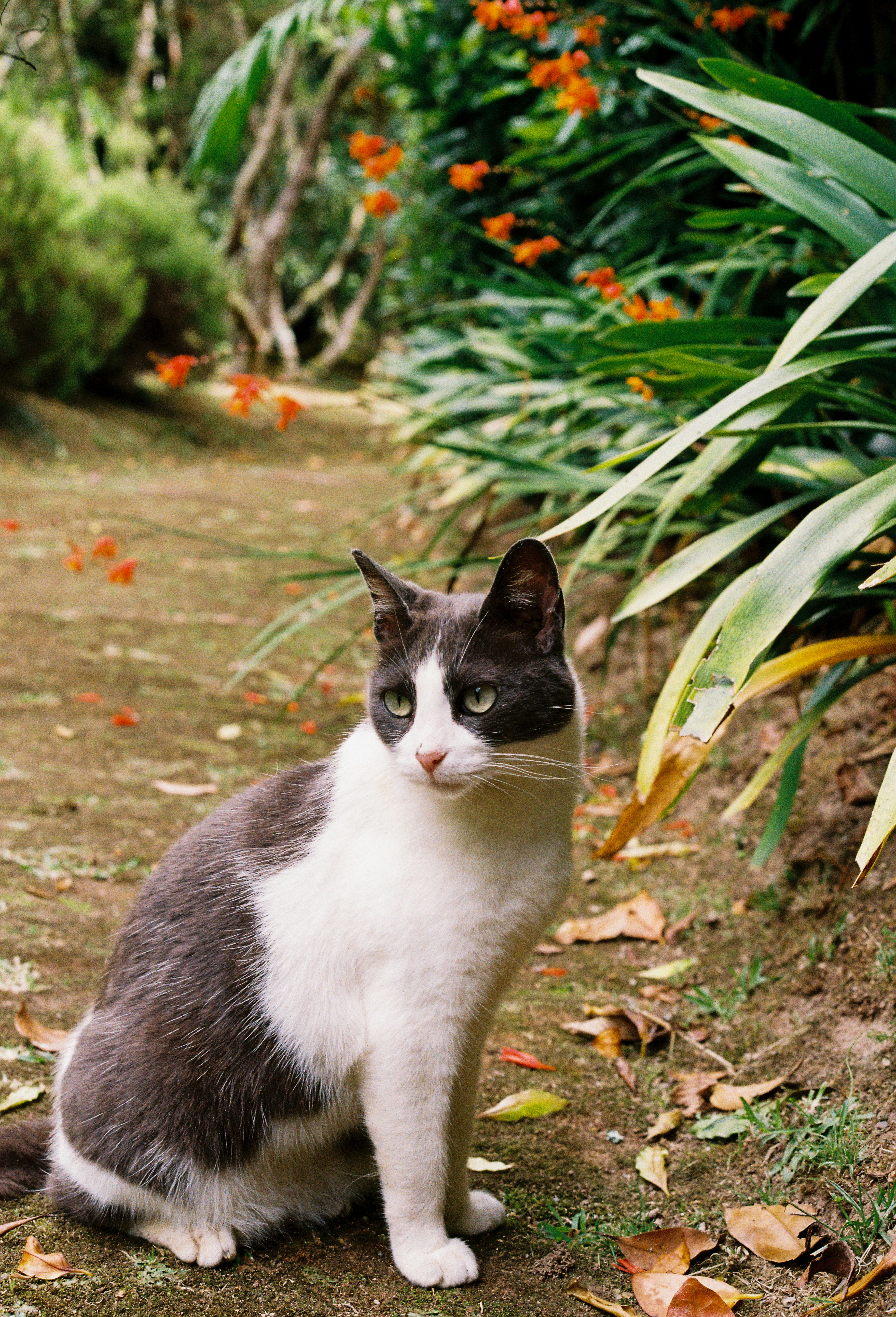 Photo by luca_severin