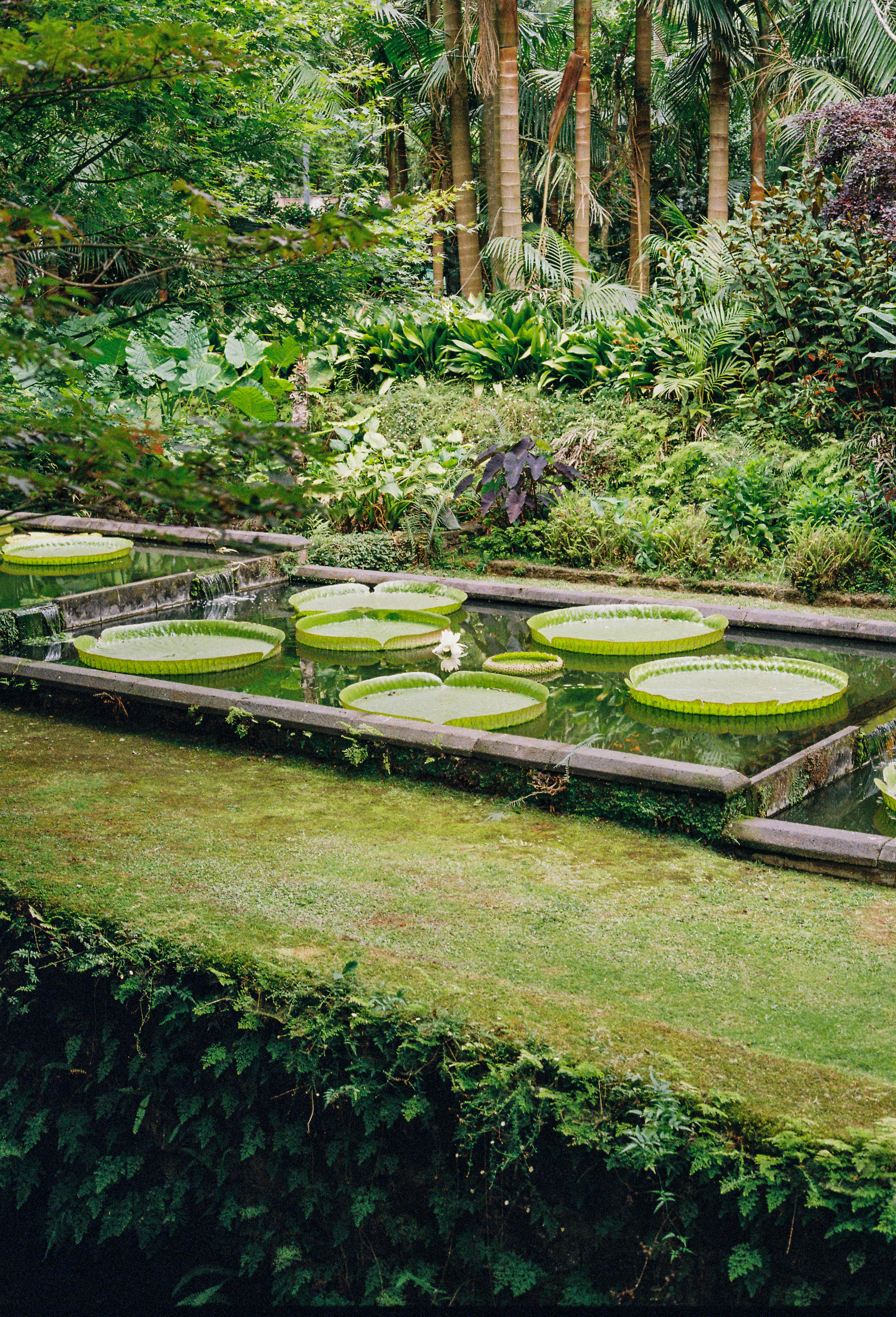 Detailed garden planning on a table.