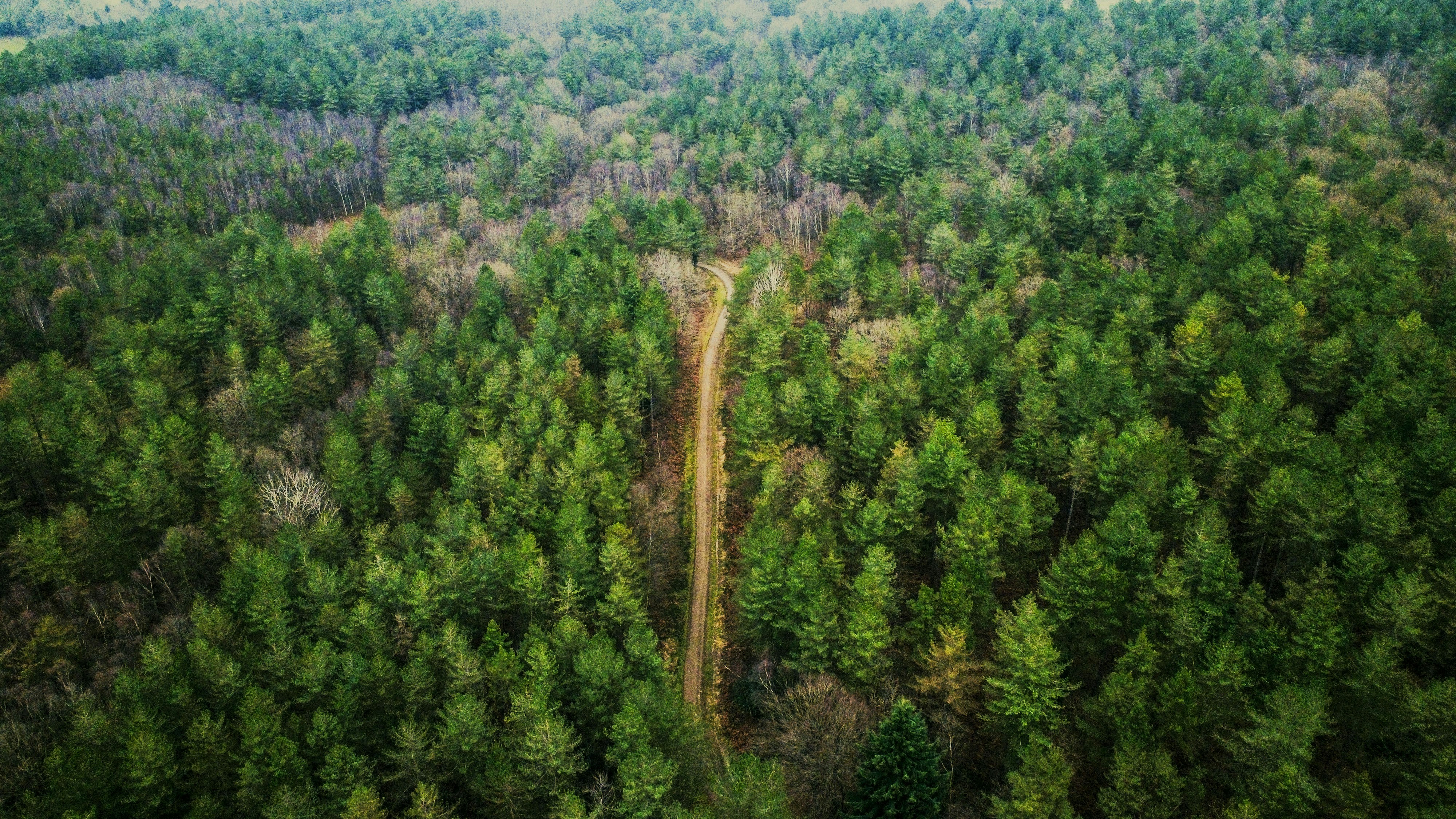 Photo by willcorrigan06