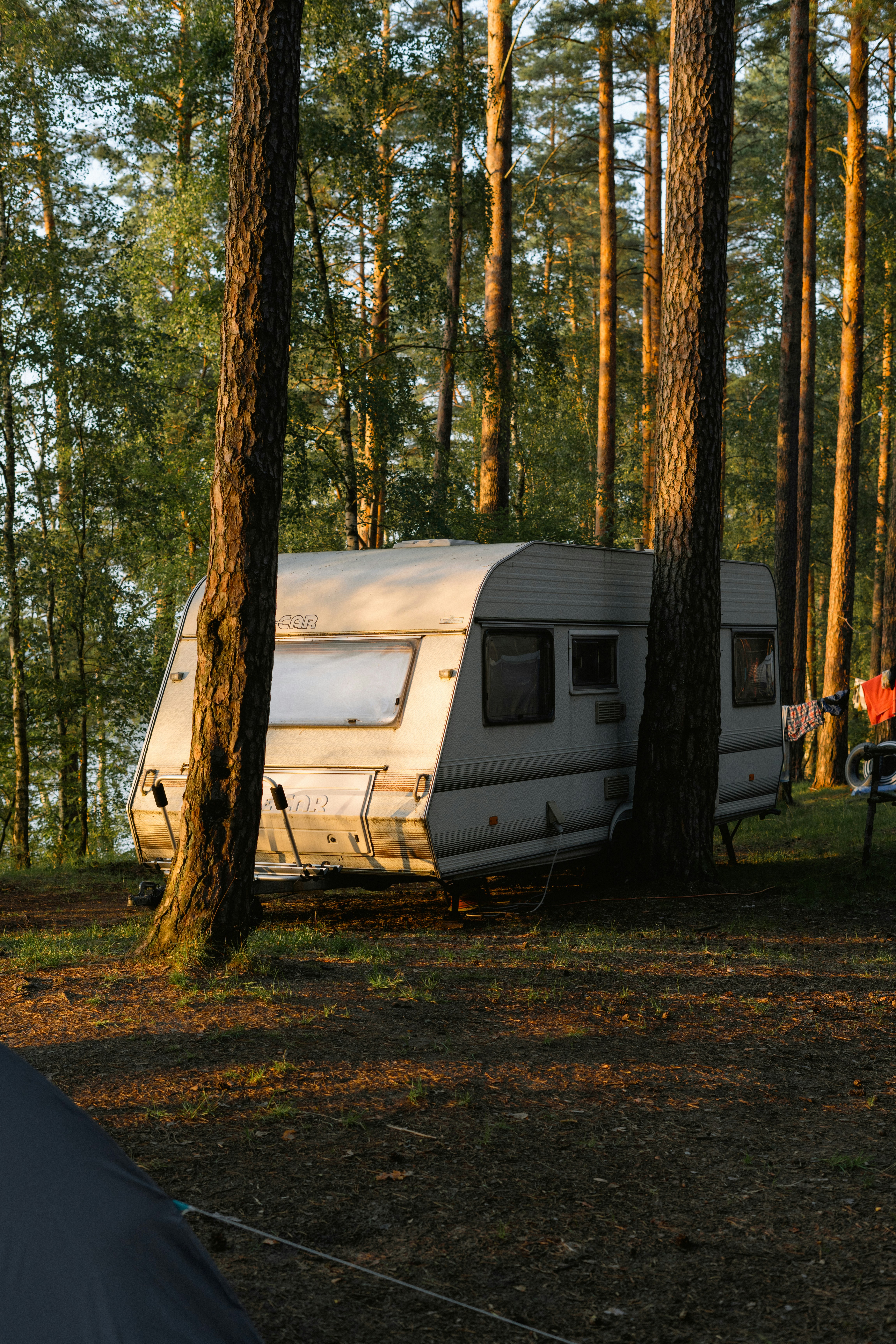 Camping tent forest floor, ilustrasi artikel Camping Essentials: How to Choose the Best Ground Cloth for Tent Protection 2