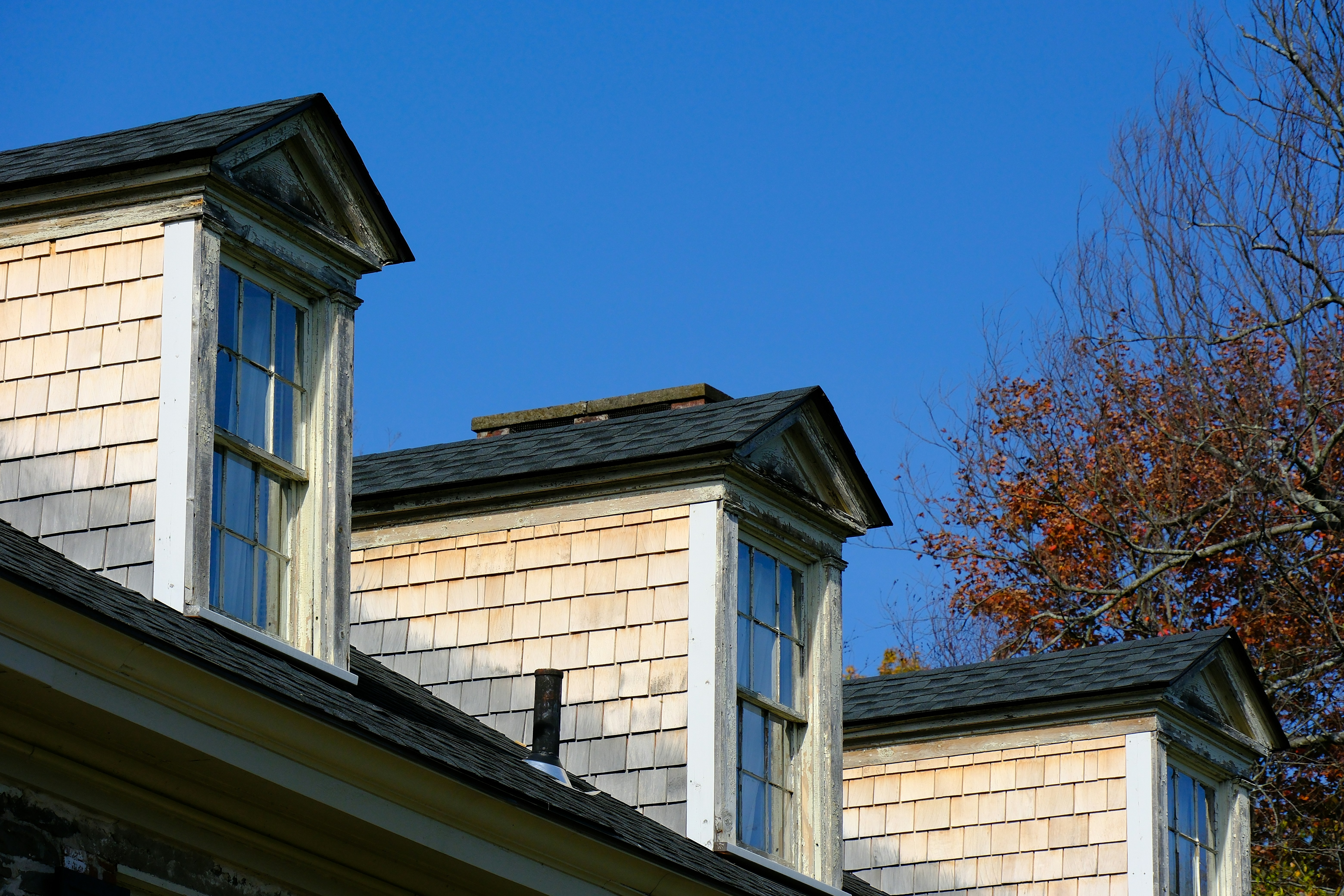 6 Roof Repair Guide Tips to Prevent Mold Growth on Roofs