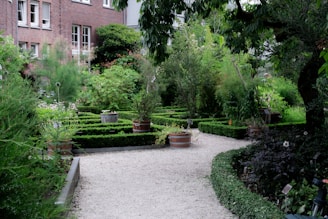 A formal garden with manicured hedges and a gravel path.