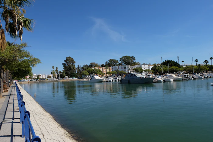 Boats docked in a sunny palm-lined harbor, similar to George Town's waterfront