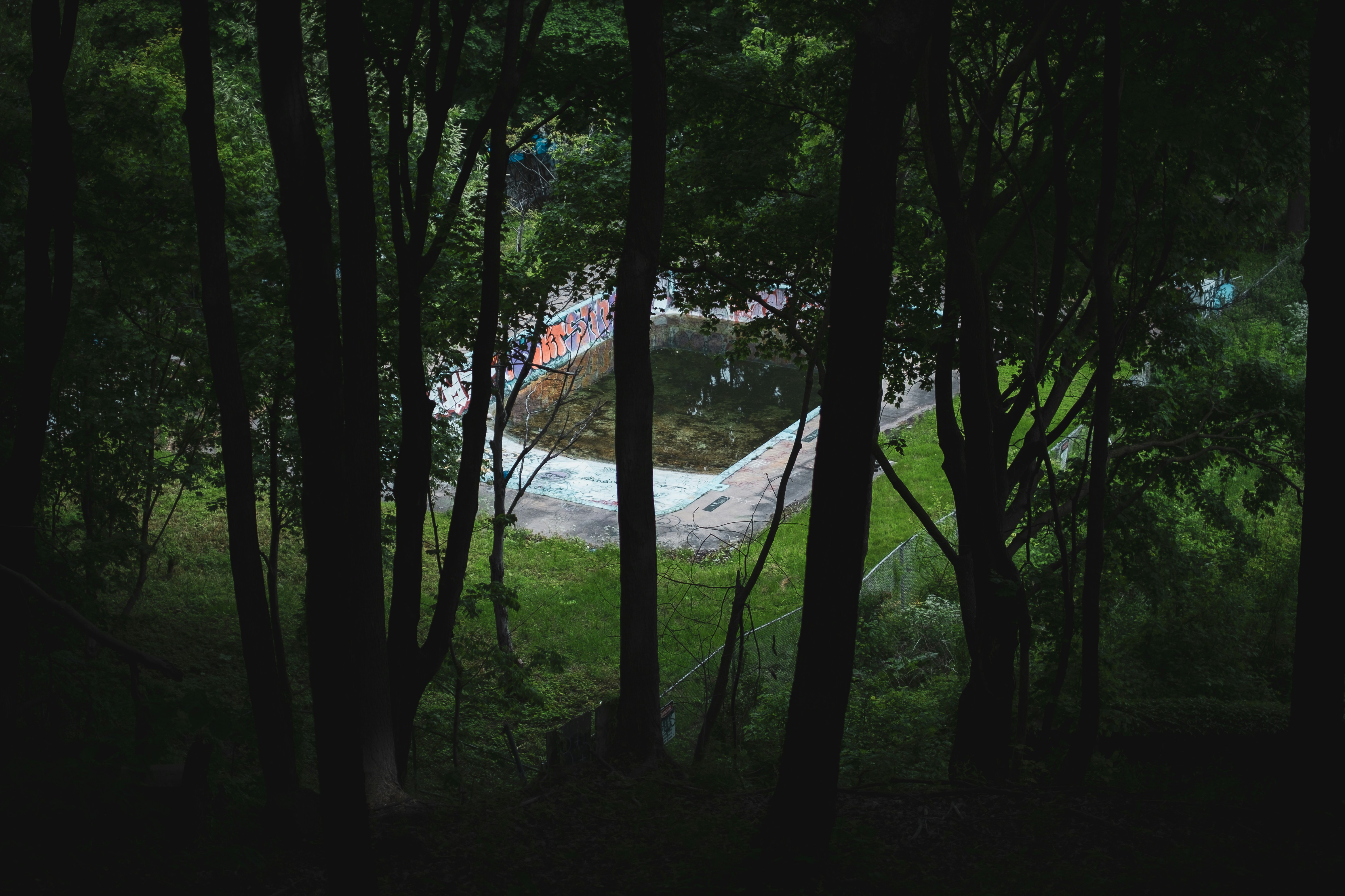 Una estructura de hormigón vista a través de los árboles oscuros del bosque