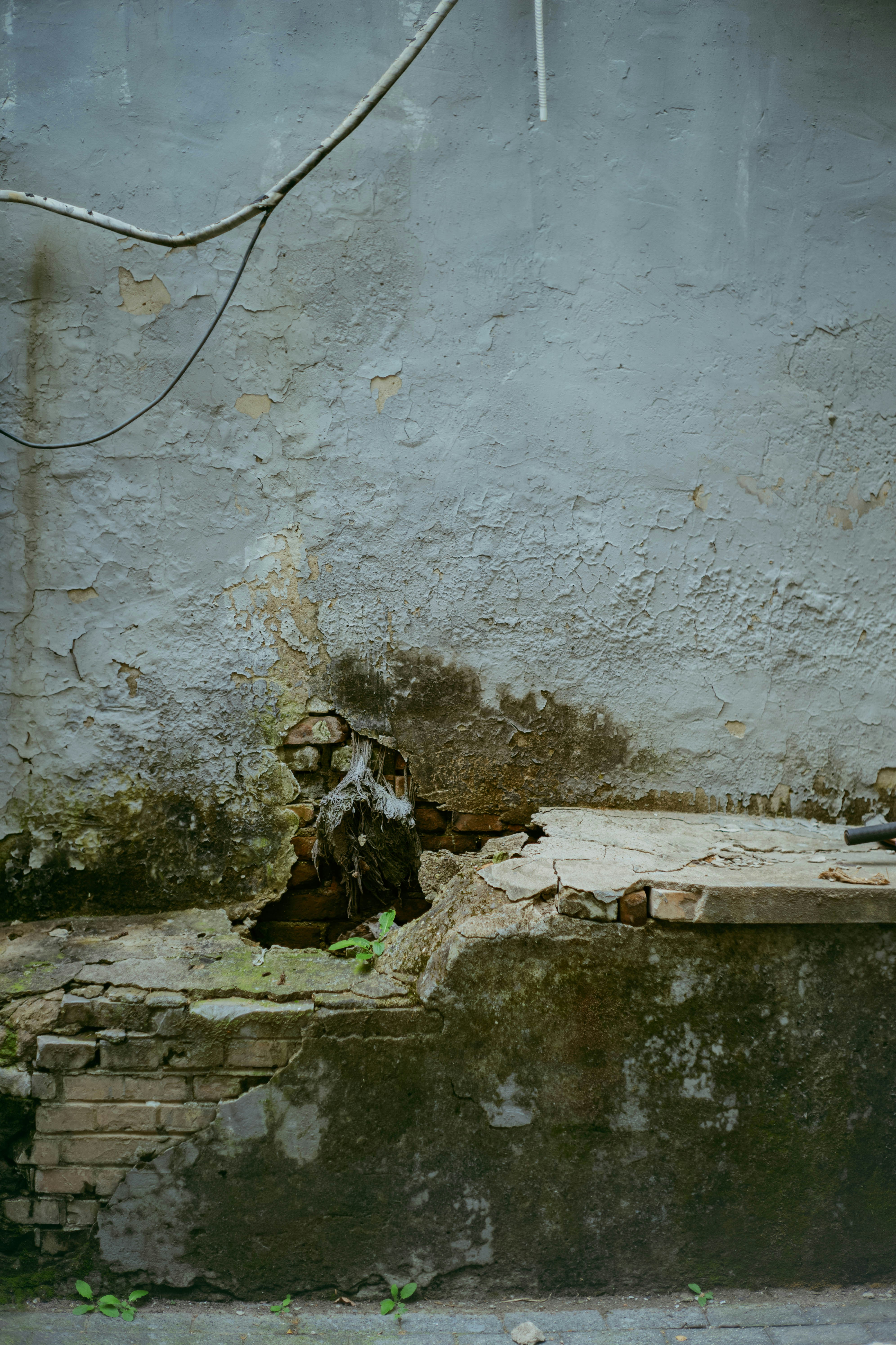 Cracked concrete wall with exposed bricks and moss.